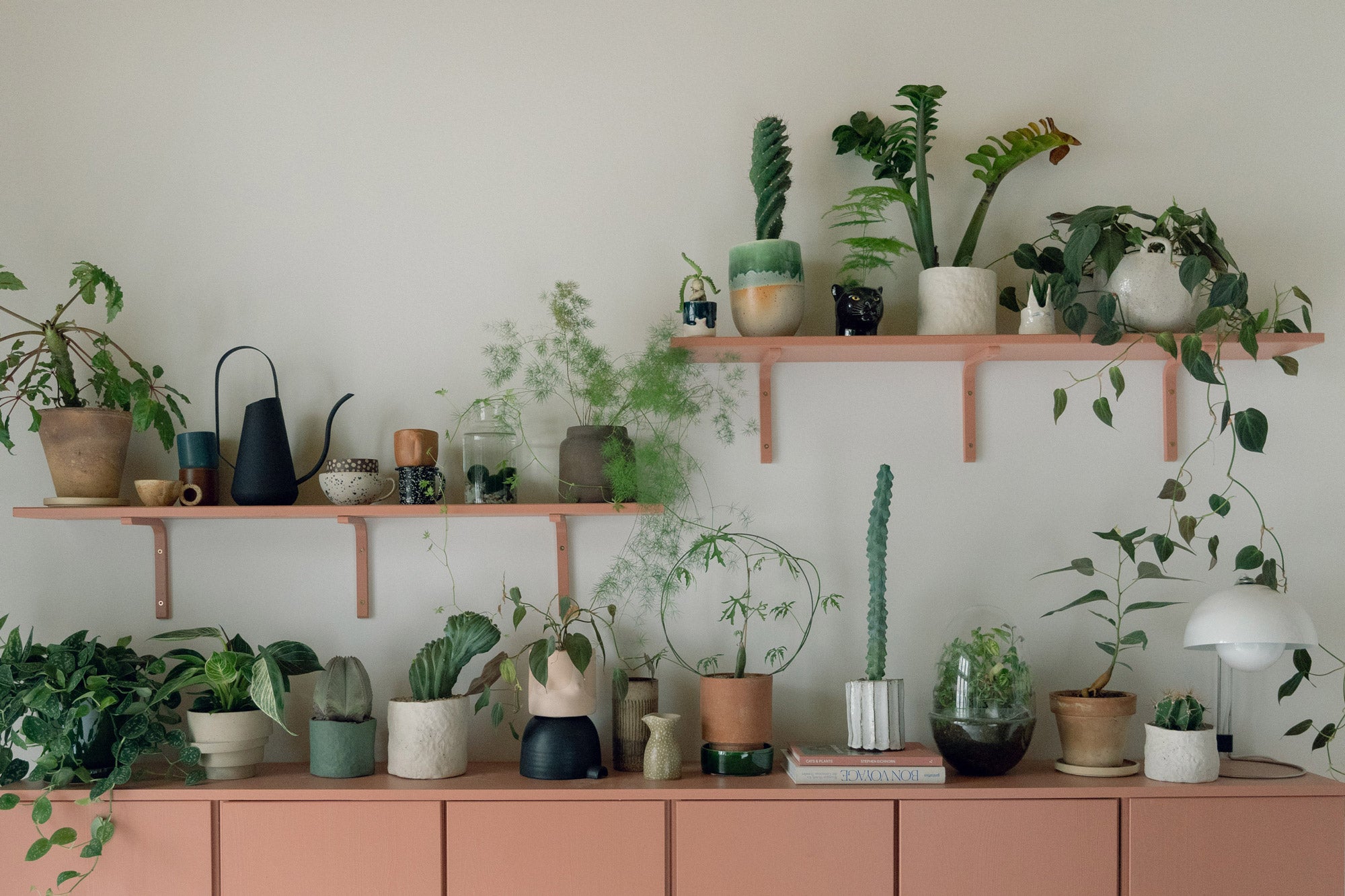 3 tips til indretning med planter