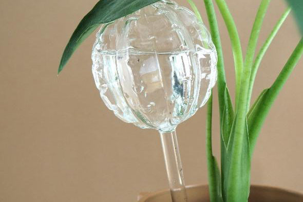 Få planterne til at overleve ferien