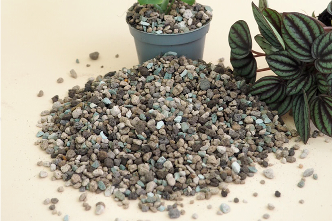 Guide til Lechuza Pon