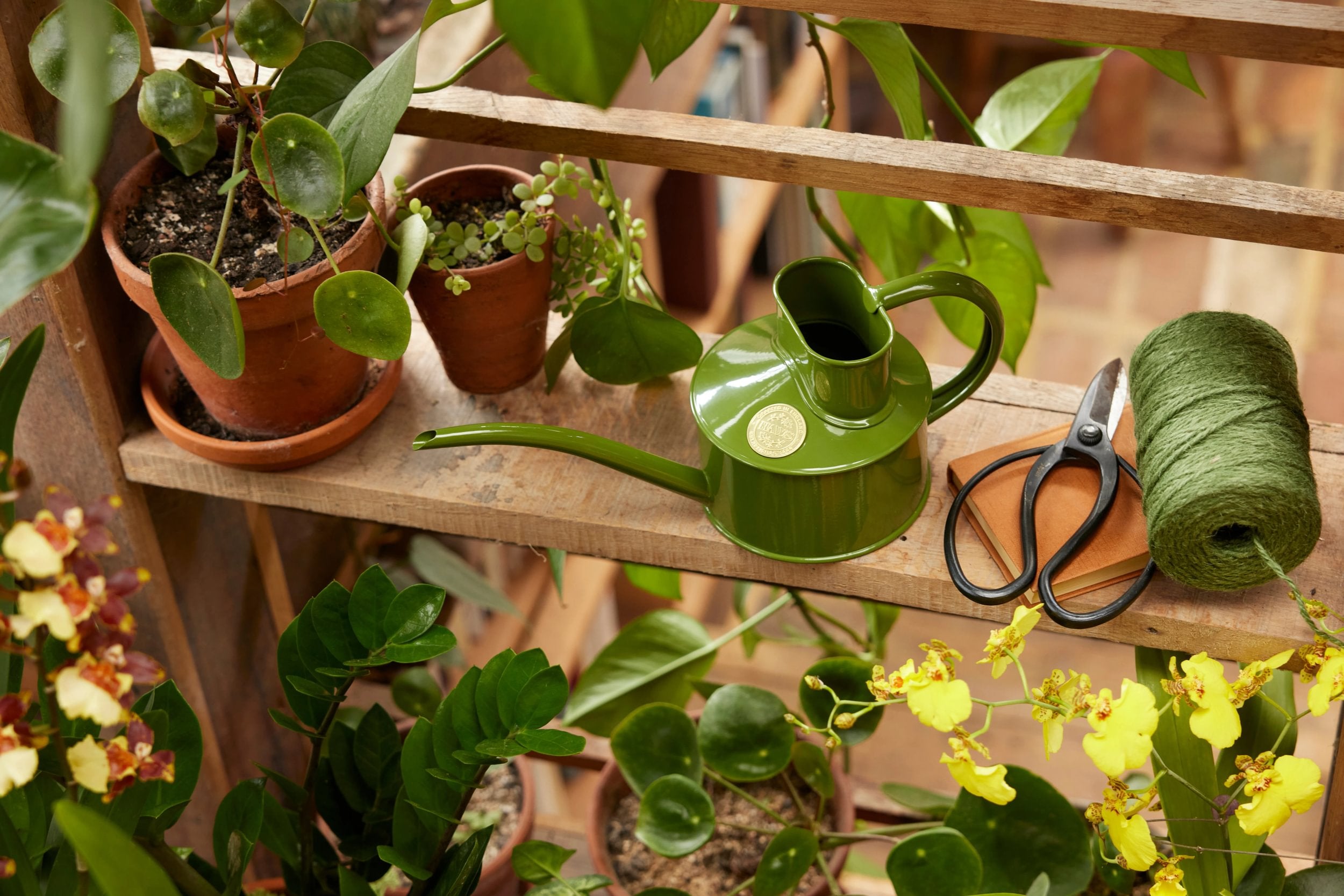 HAWS Vandkande, fern green, 0,5 L