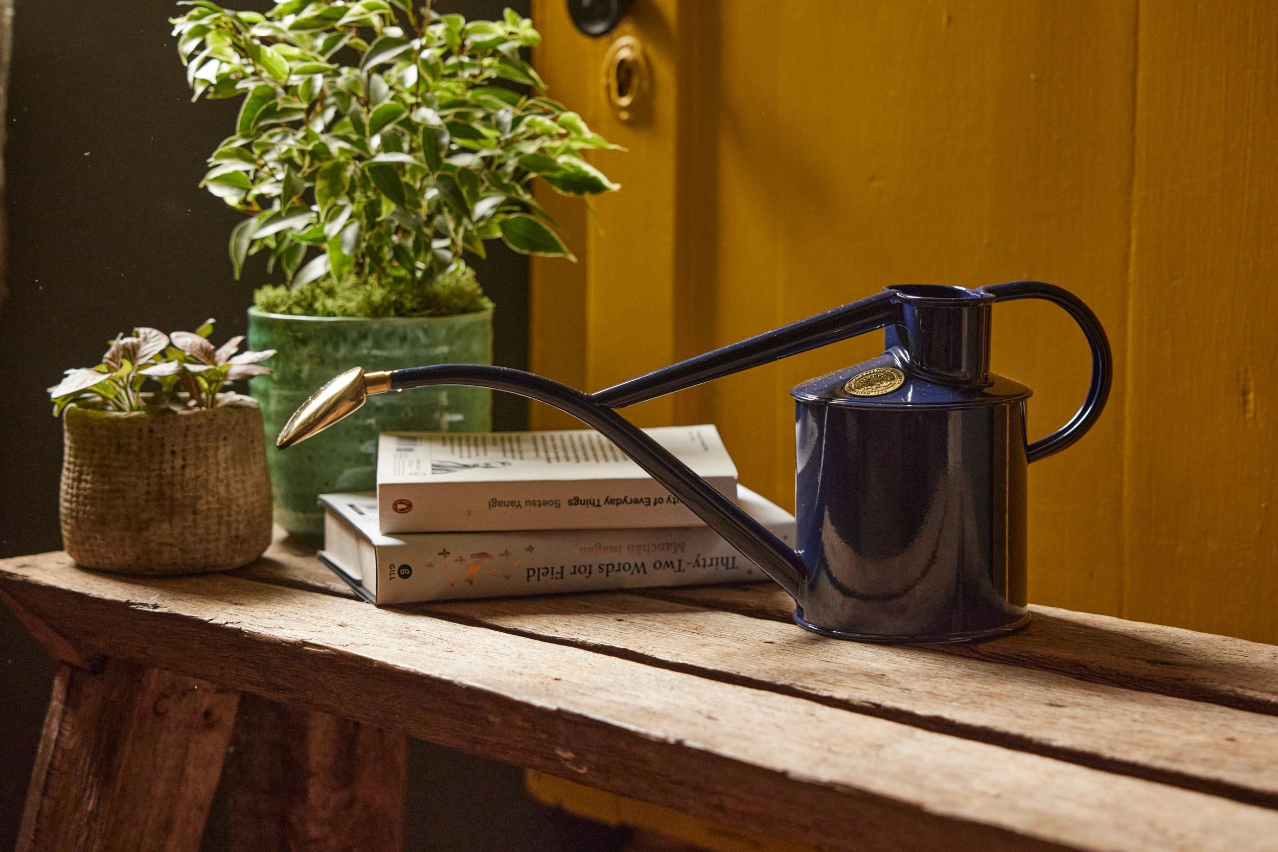 HAWS Vandkande, Navy blue, 1 L