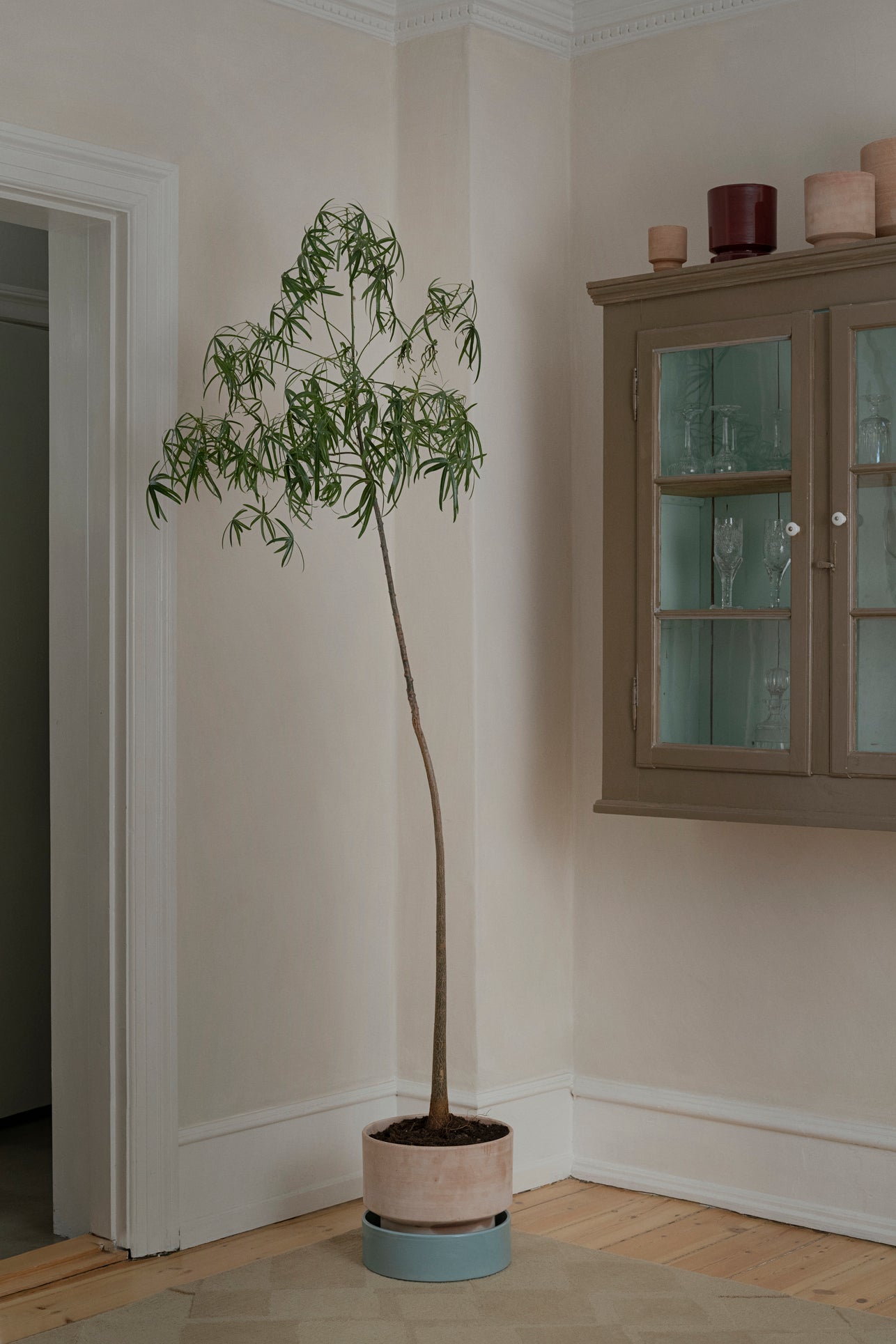 Hoff krukke, raw rosa