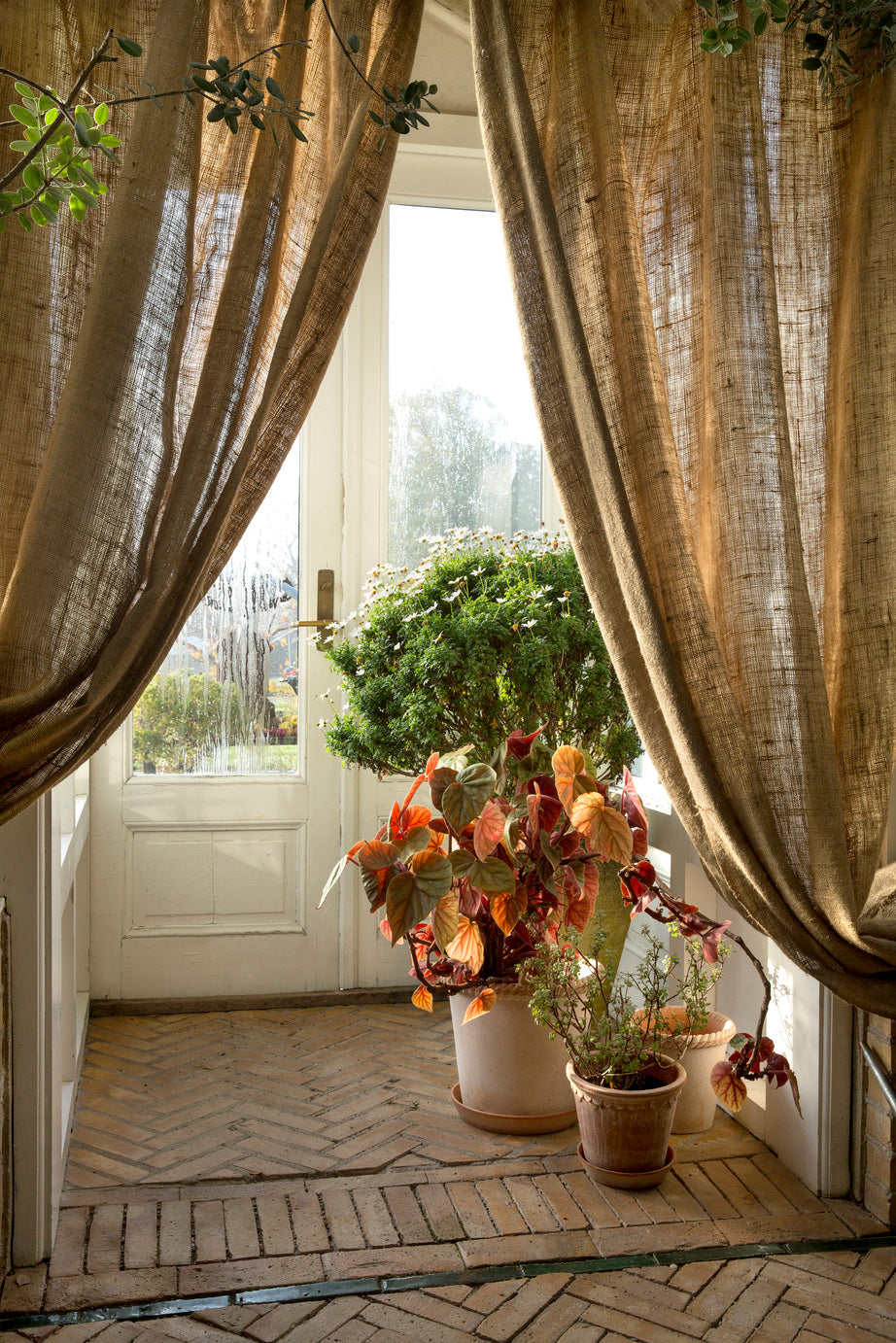 Emilia krukke, raw rosa