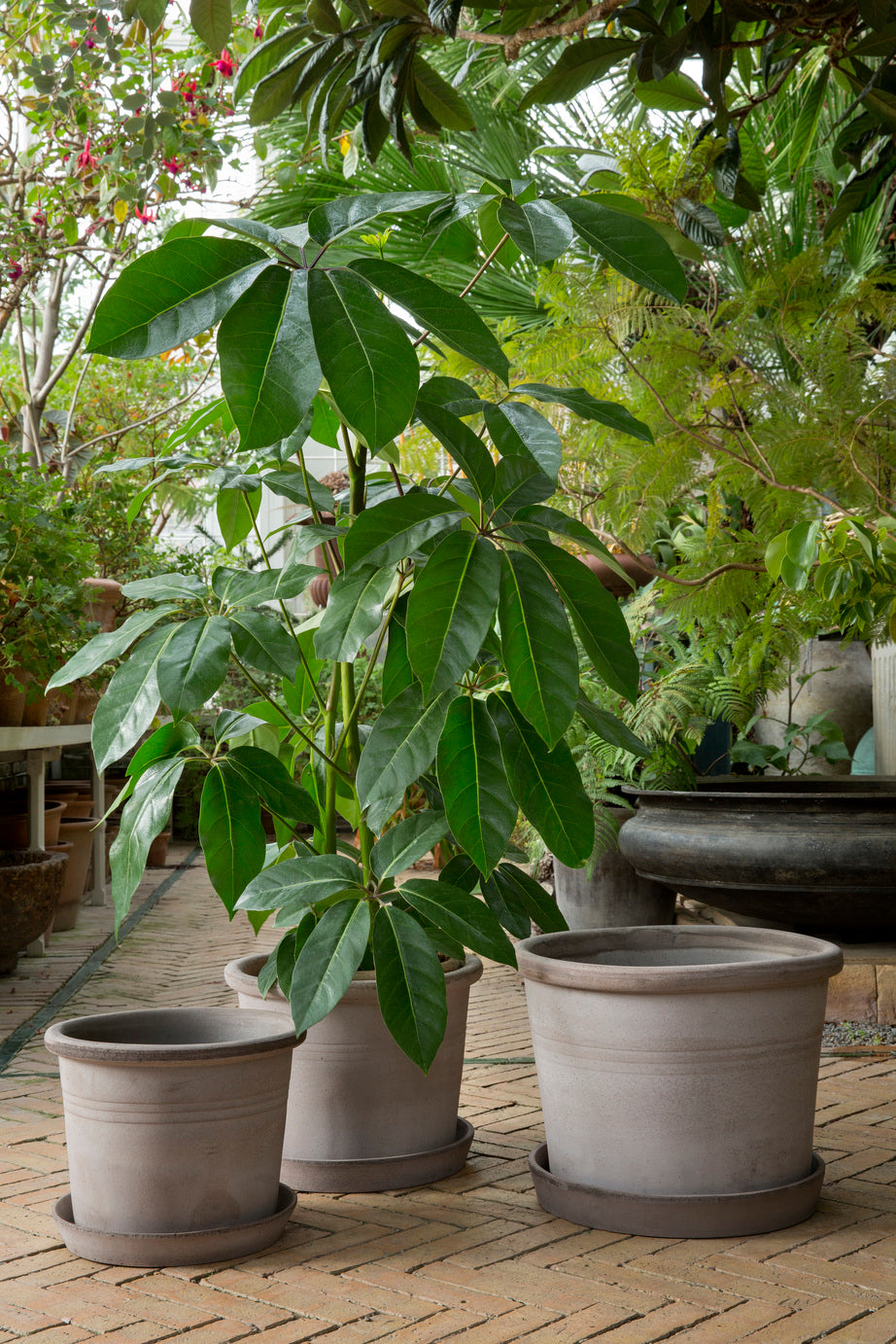 Galestro gulvkrukke, raw grey