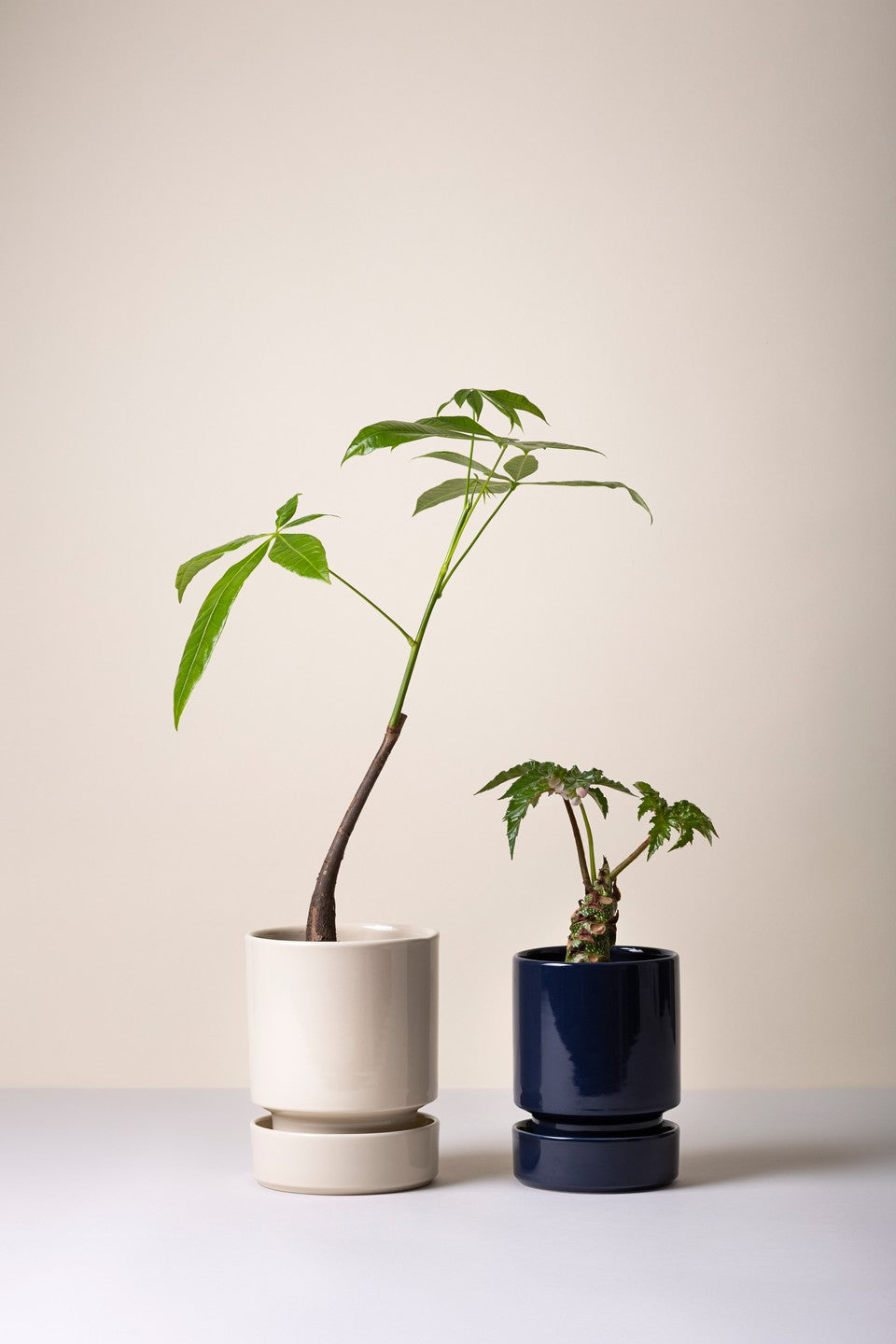 Hoff underskål, glaseret Sandstone