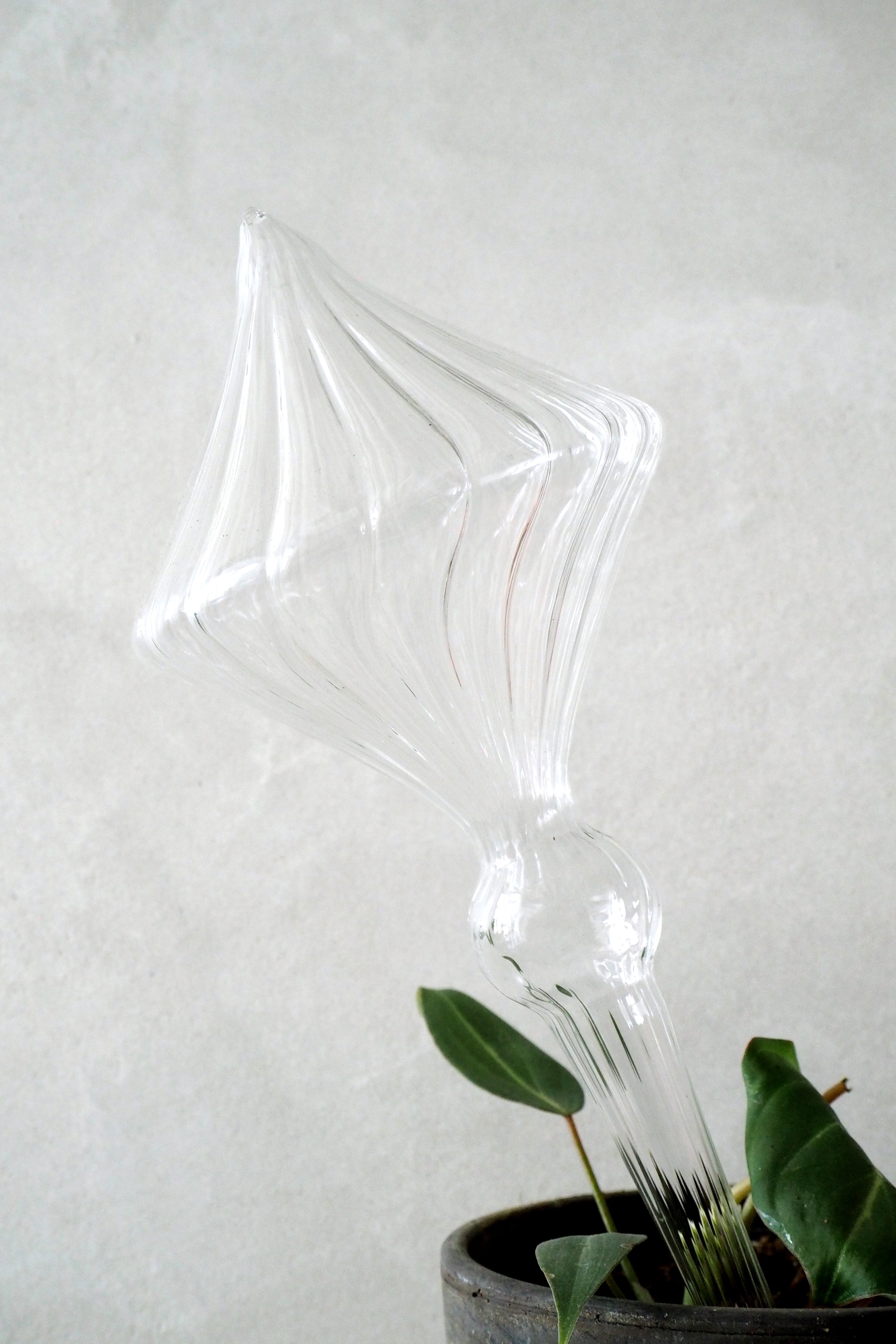 Selvvandingsglas, 4 stk