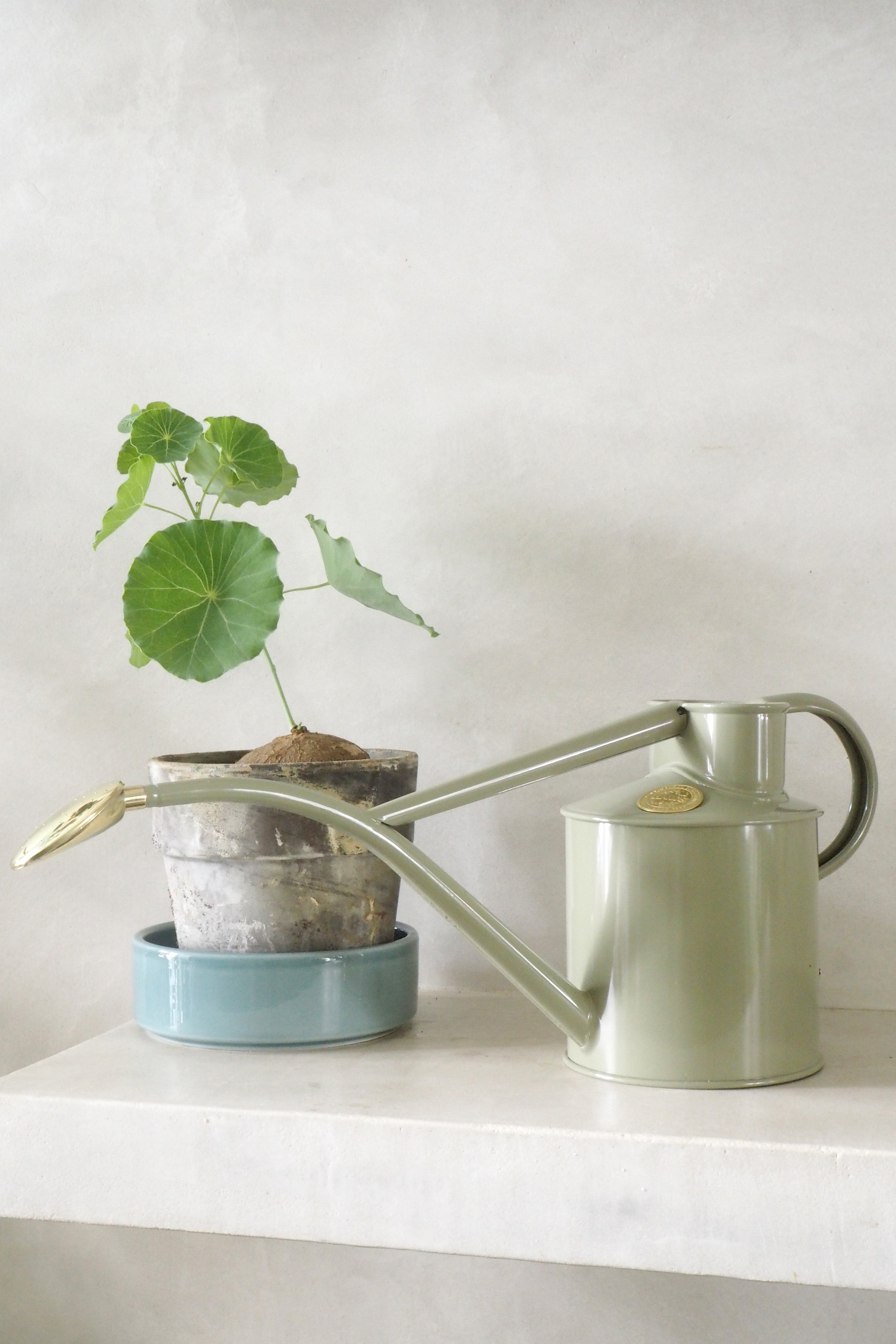 HAWS Vandkande, Lichen Green , 1 L