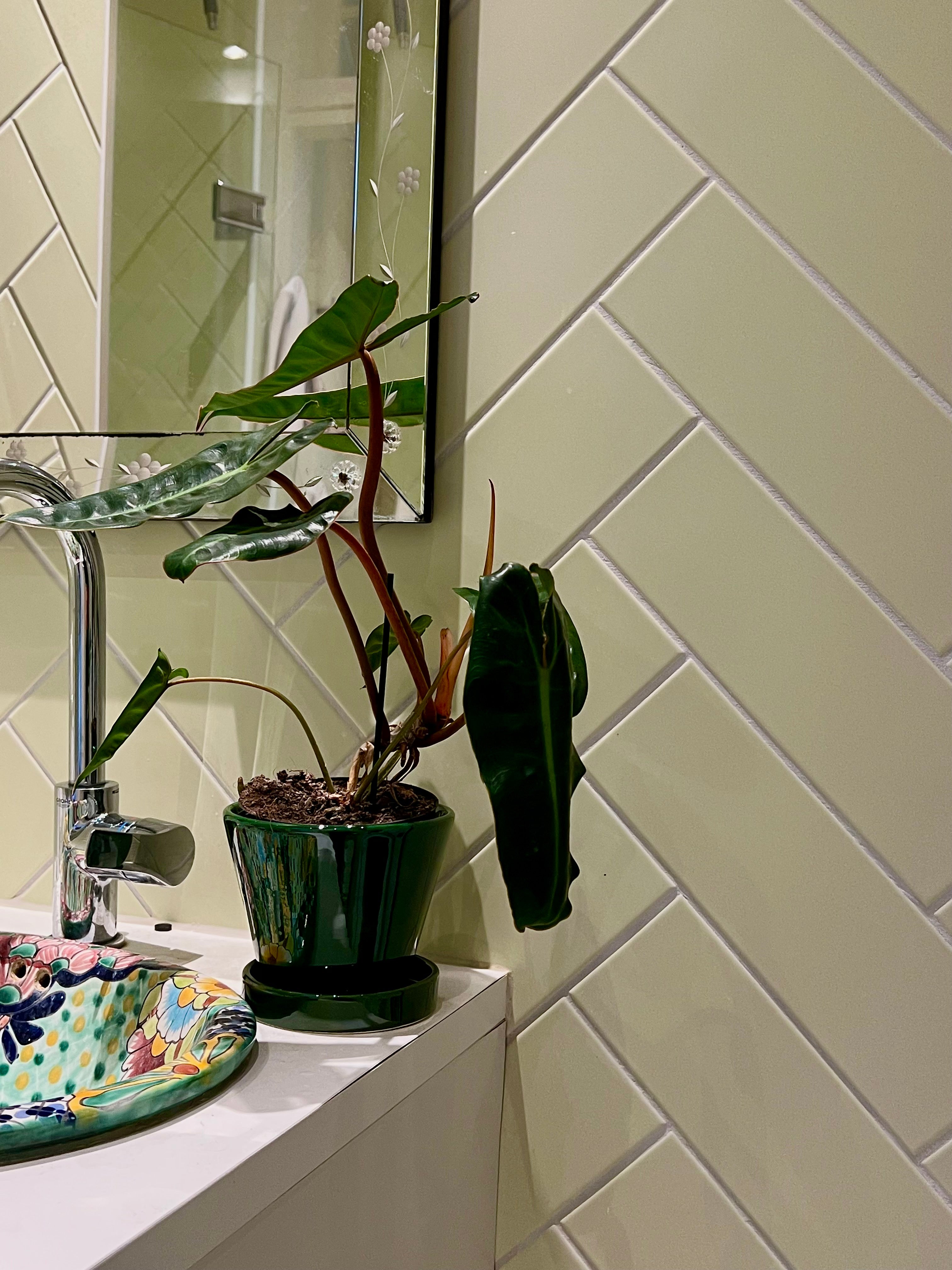 Julie - Emerald Green