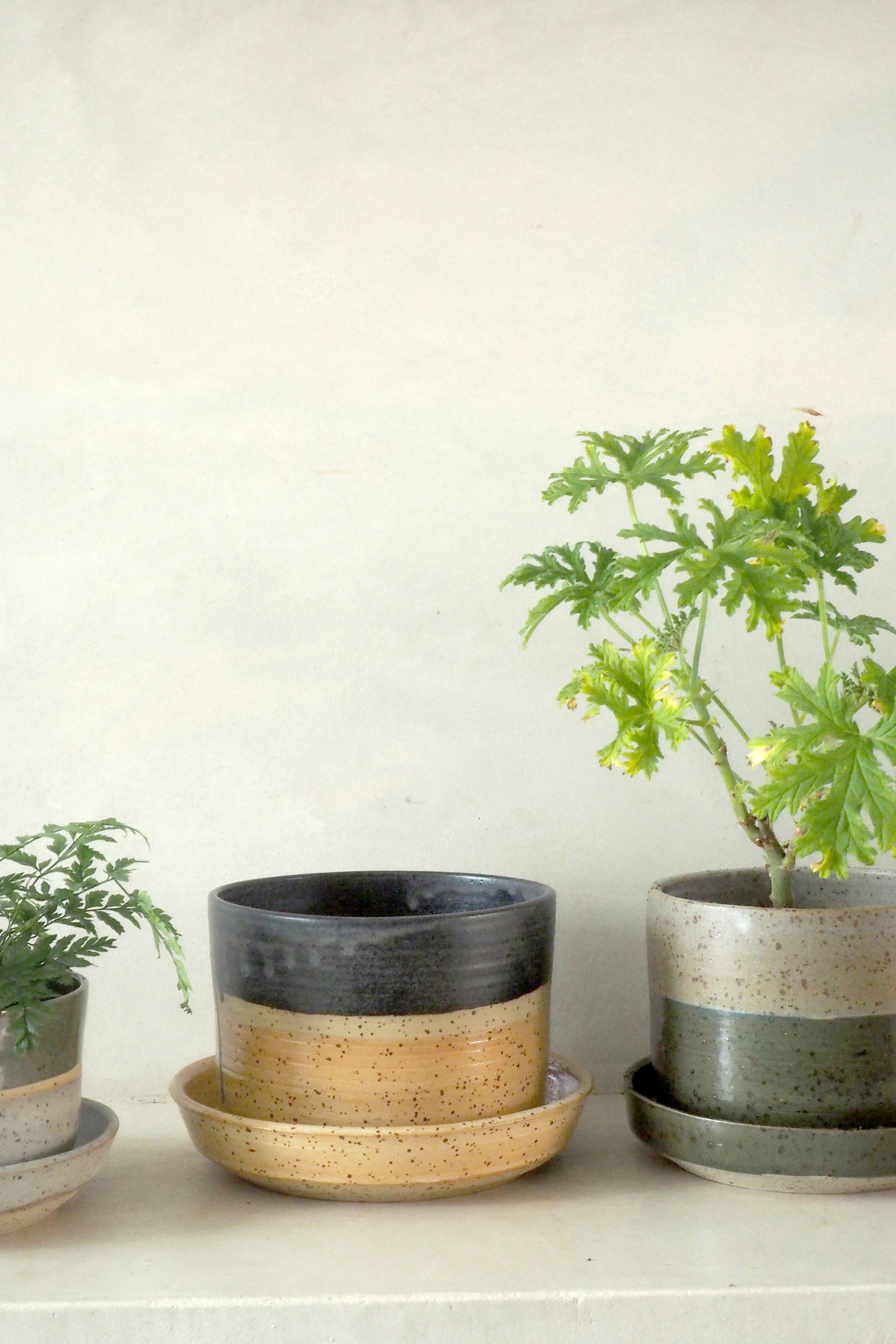 Nina Frigg stor no. 11