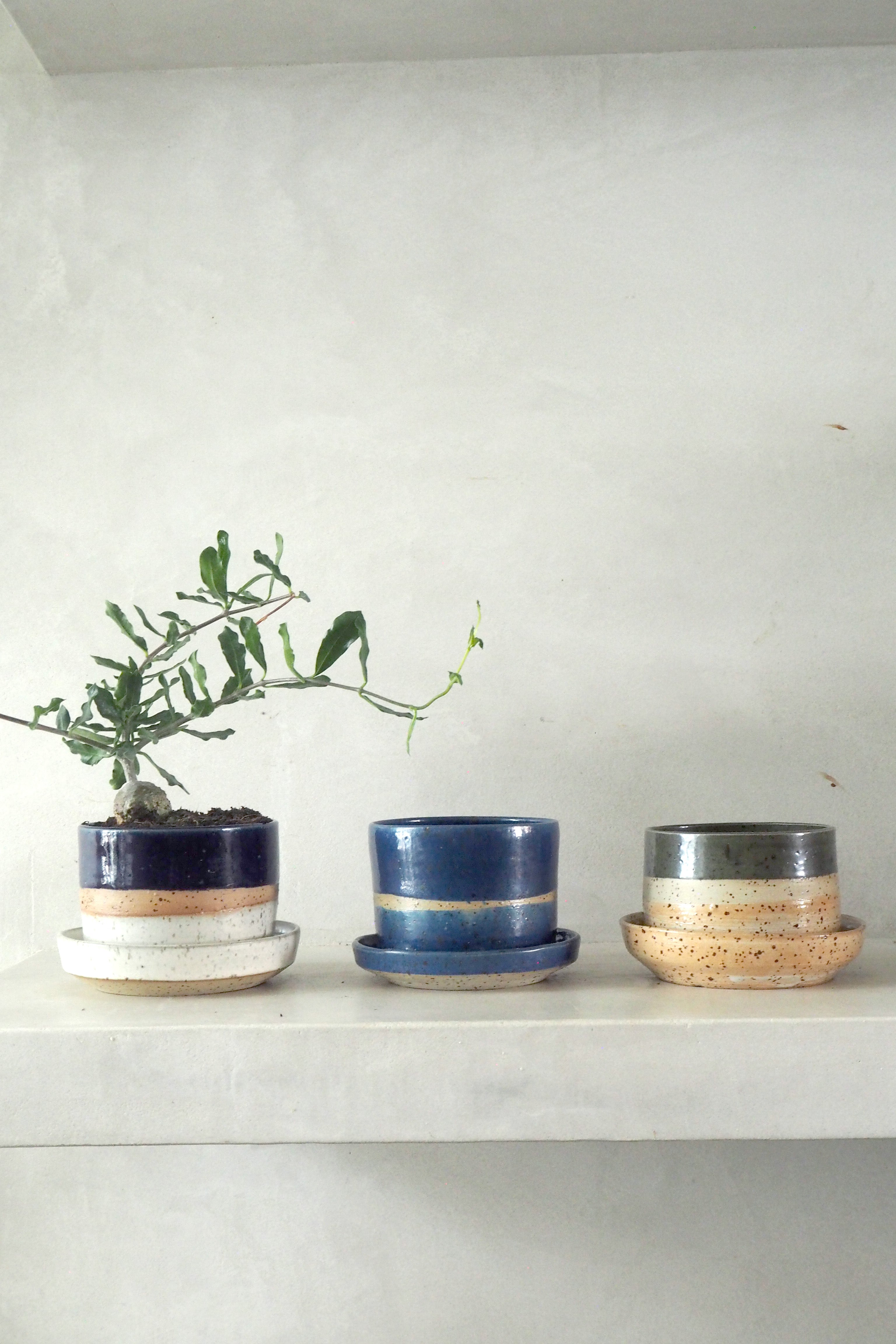 Nina Frigg medium no. 1