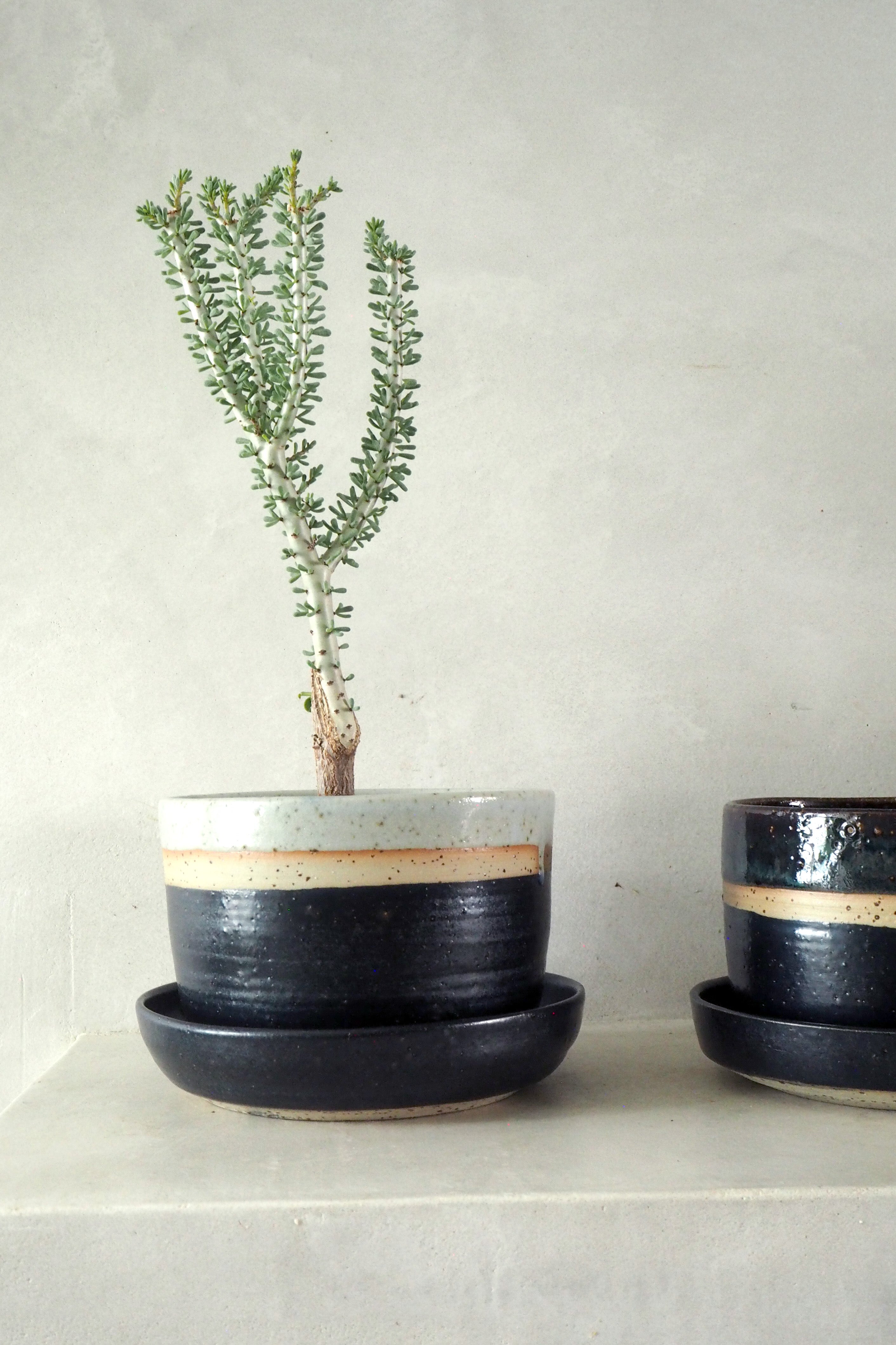 Nina Frigg stor no. 1