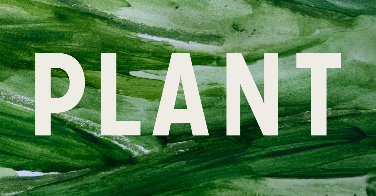 Plant København ApS logo
