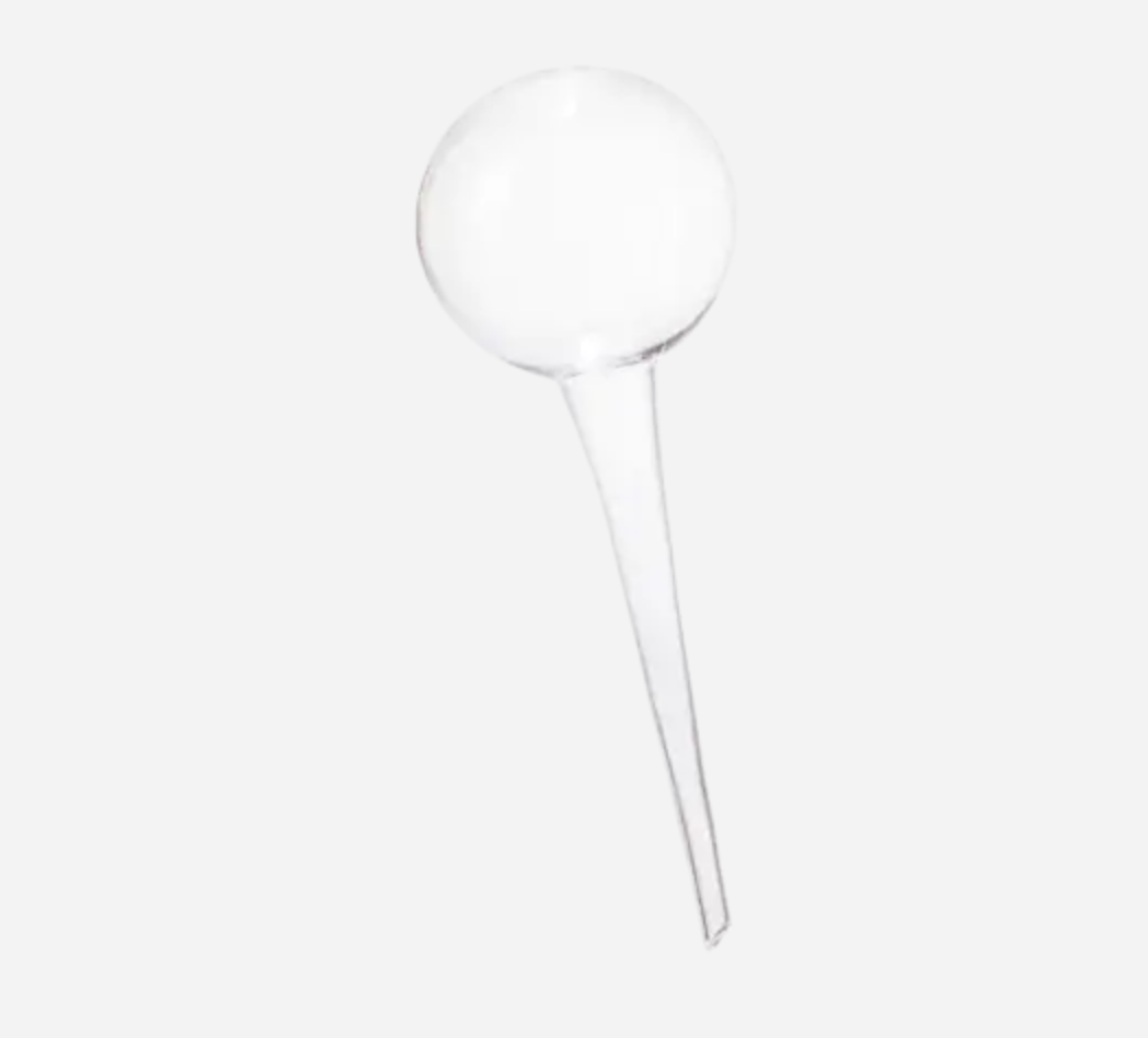 Selvvandingsglas, globe