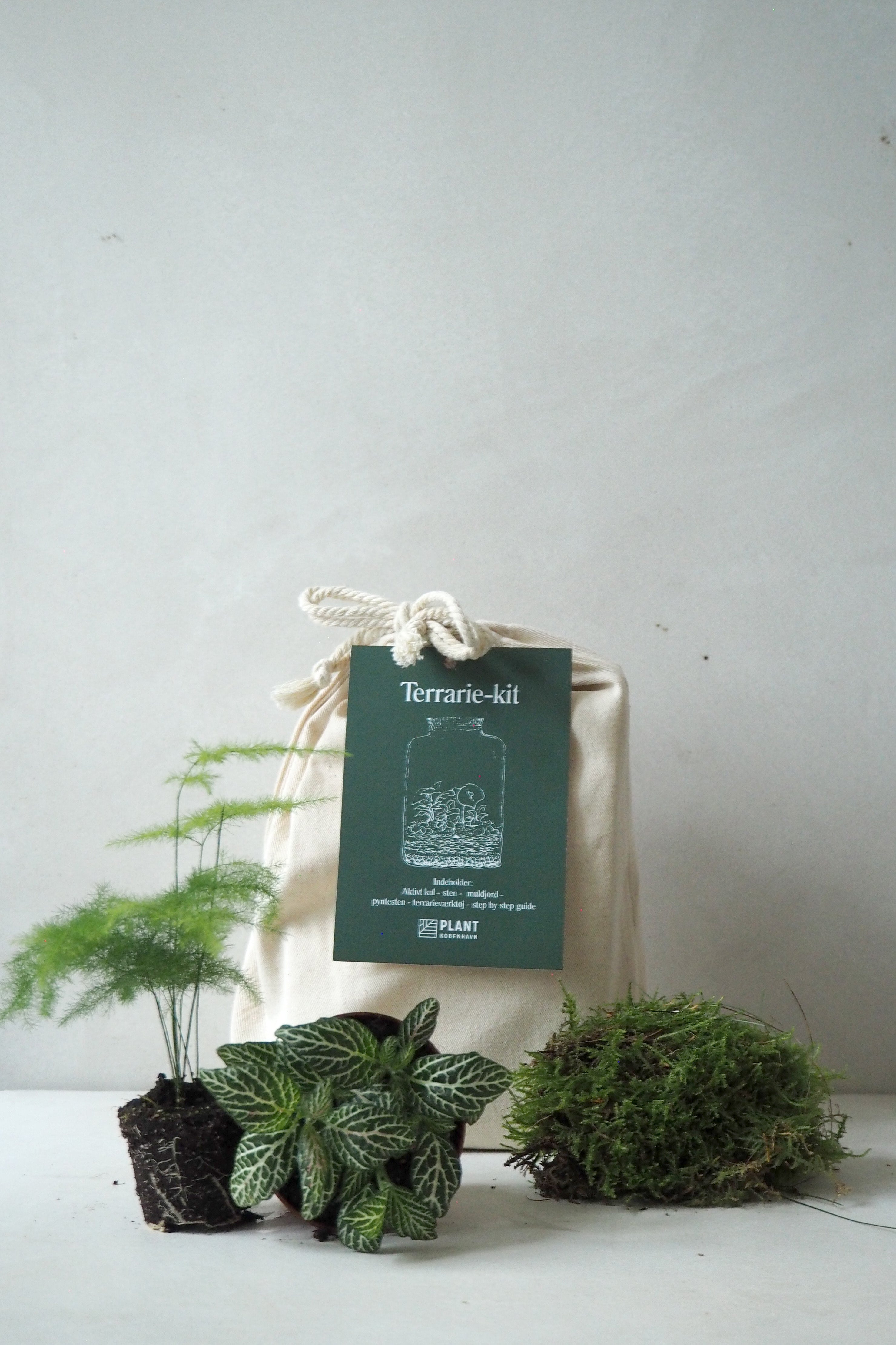 Terrariekit m. glas
