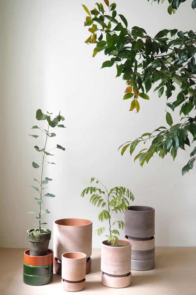 Hoff krukke, raw rosa + rosa underskål