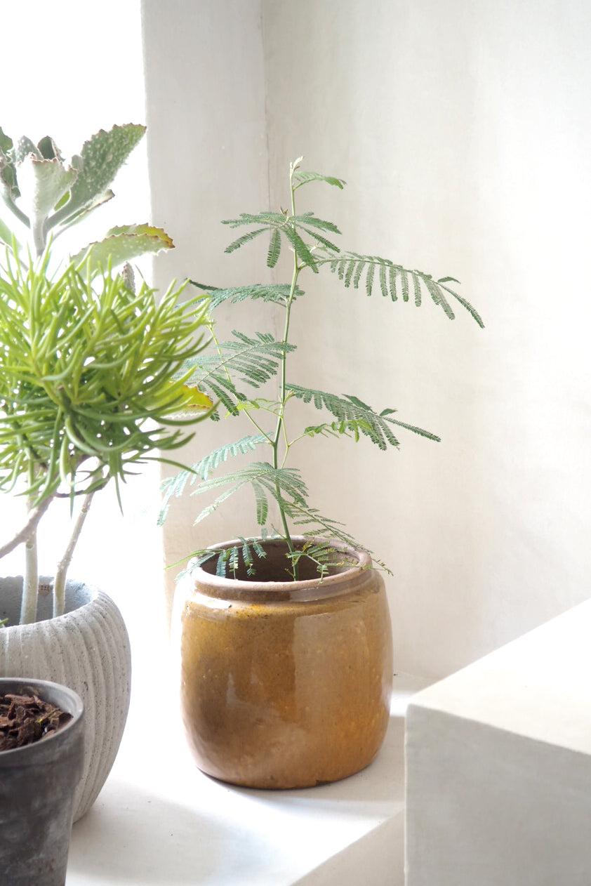 Berit krukken, mustard, ø 22 cm