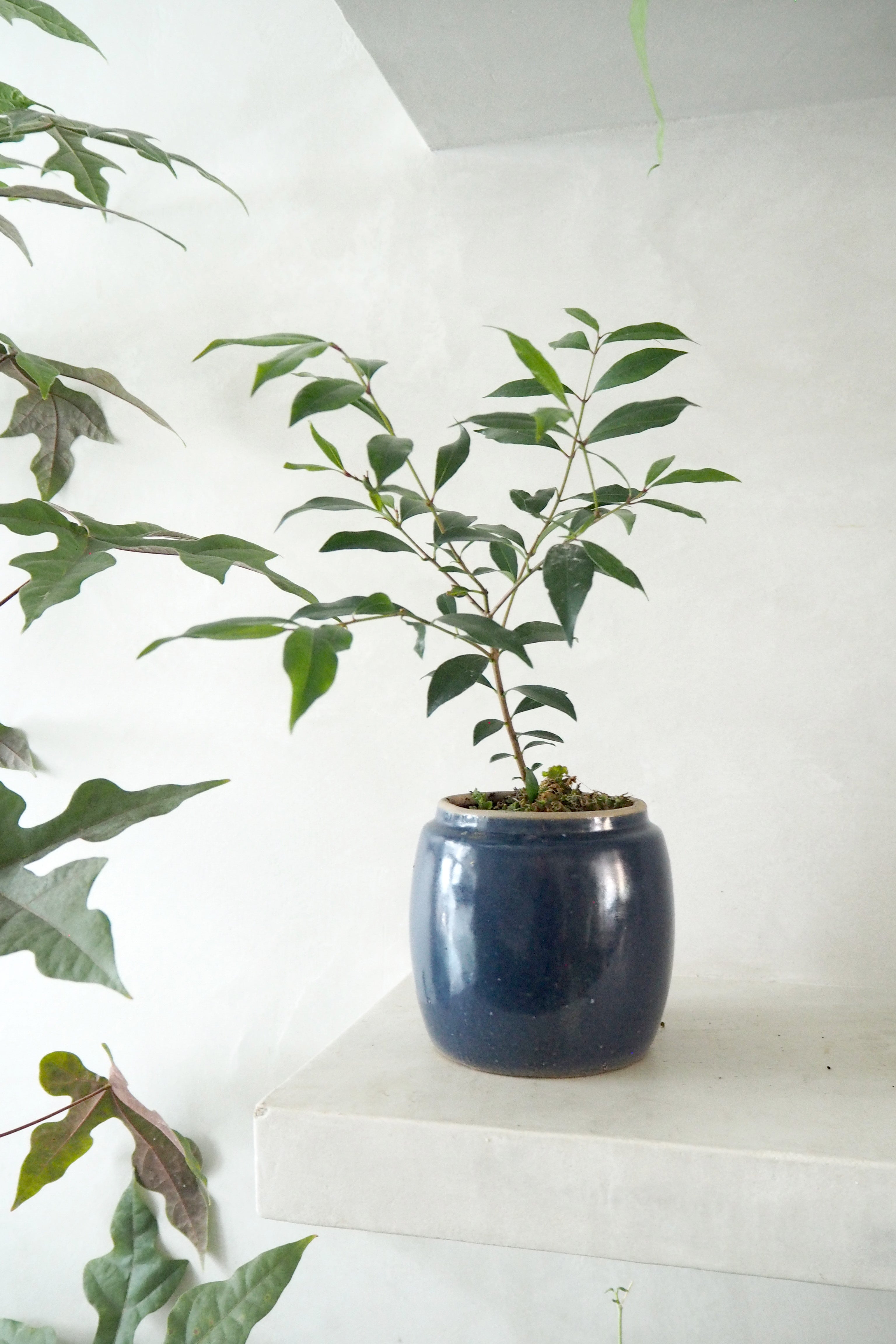 Berit, blå, ø12 cm