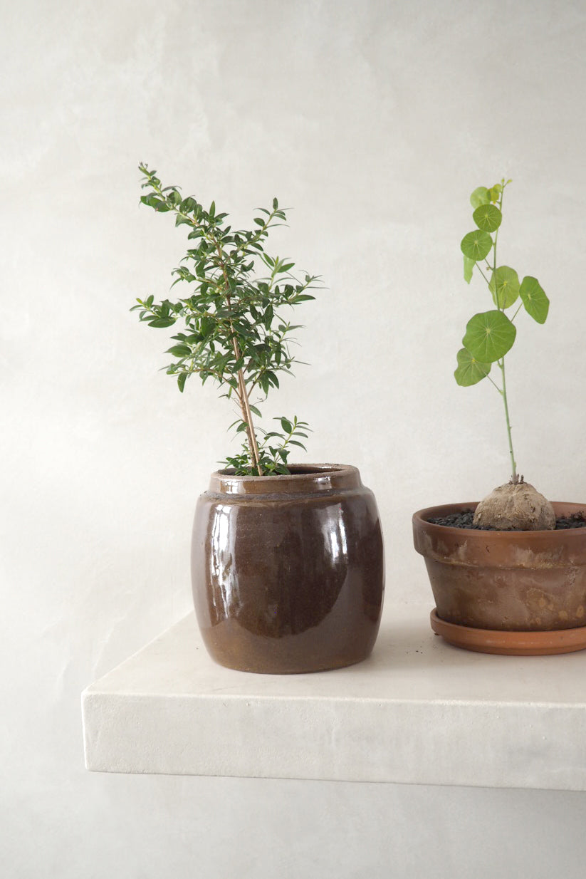 Berit, brun ø 12 cm