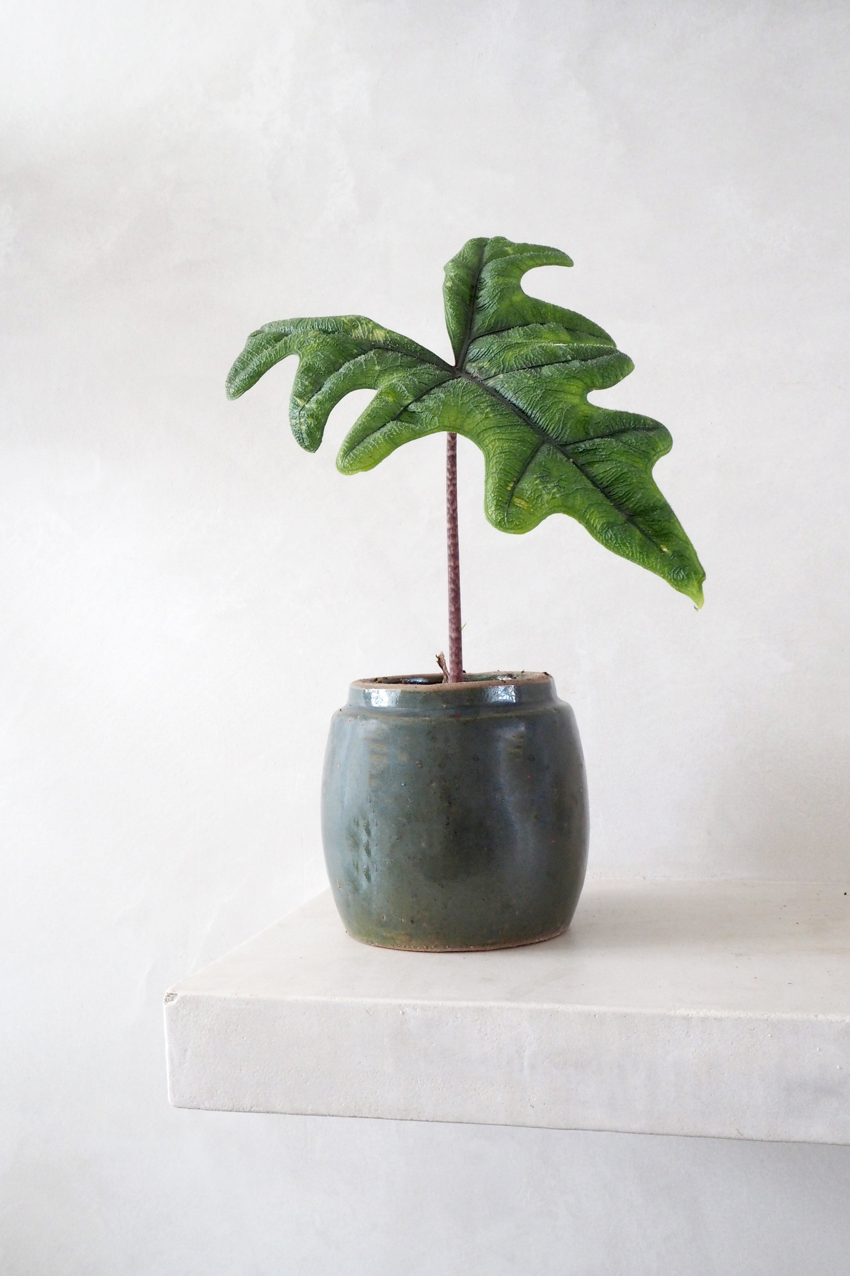 Berit, olivengrøn ø12 cm