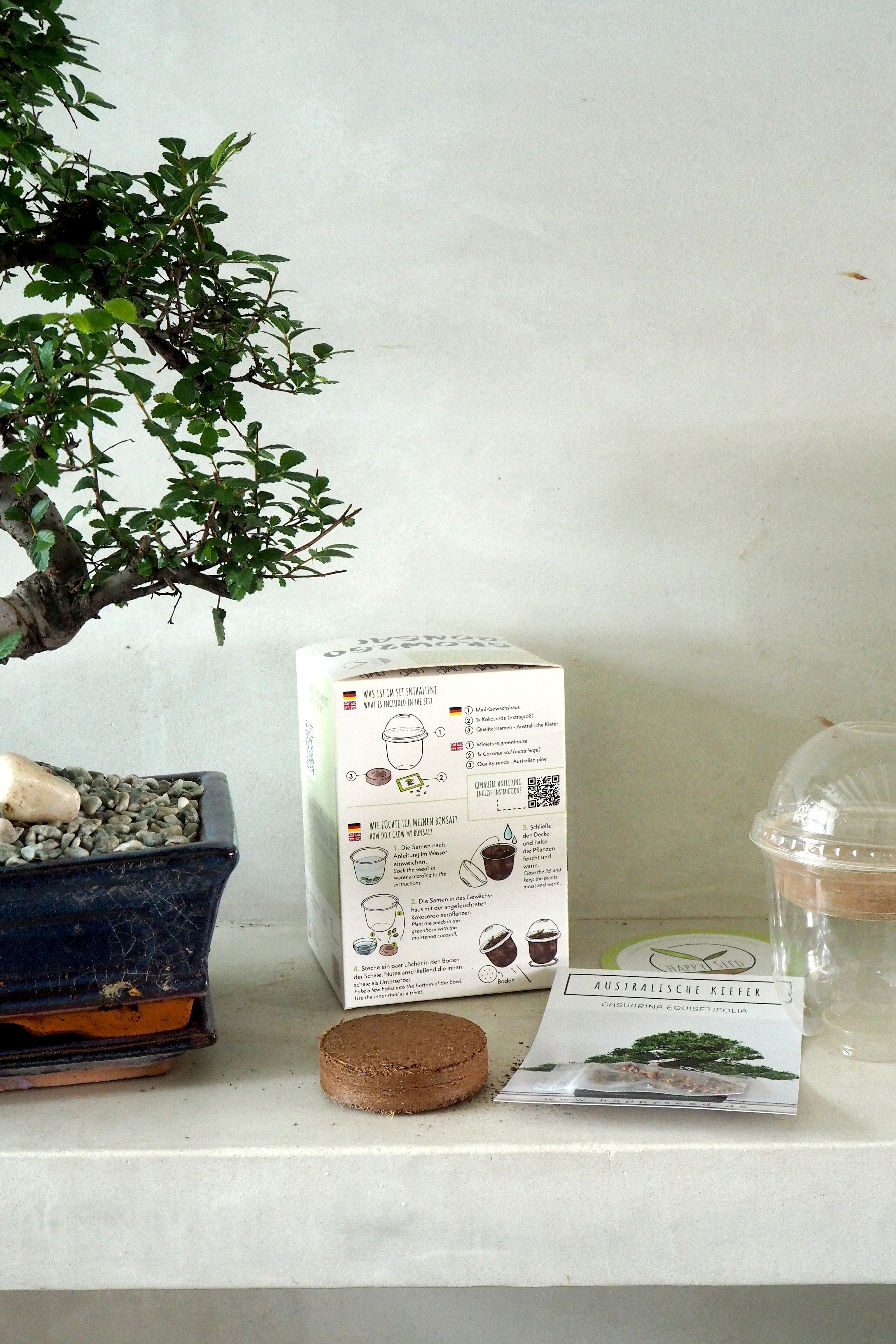 Frø - Bonsai, DIY kit