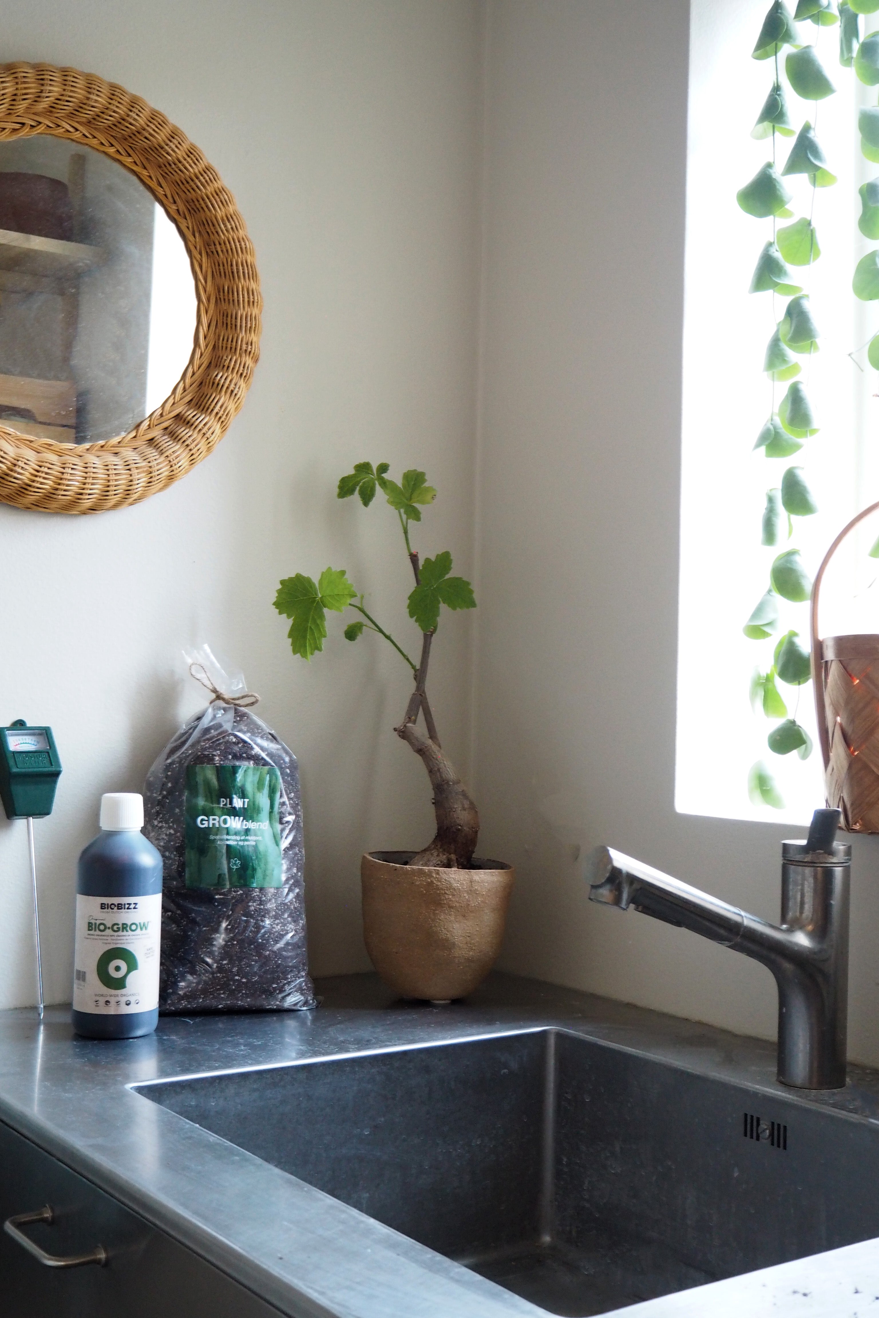 Bundle : Pro plantepleje