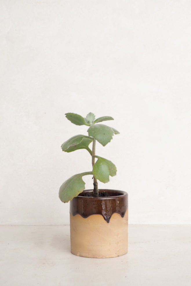 Vintage - drip krukke