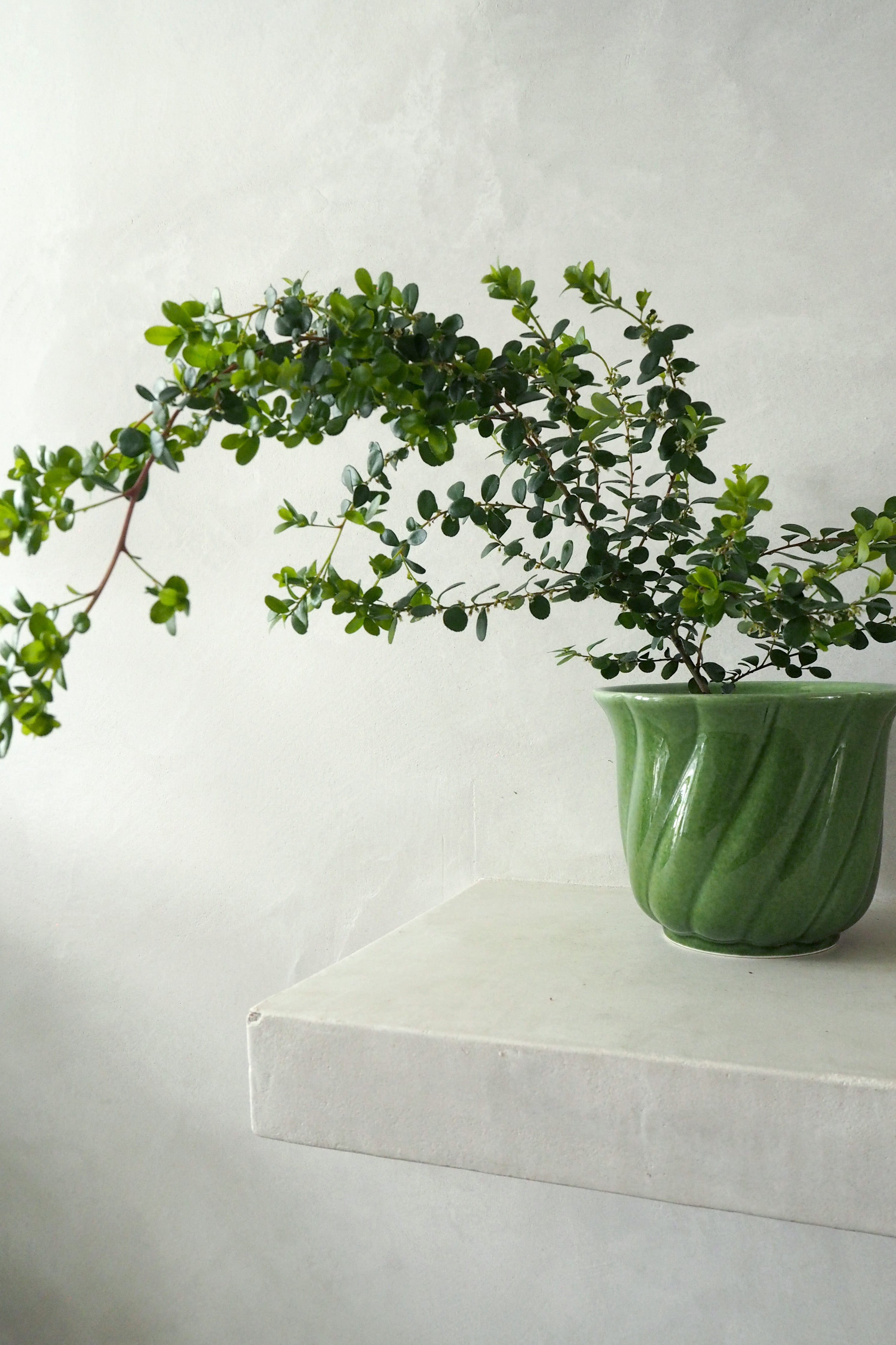 Vintage -  Emeldra krukke