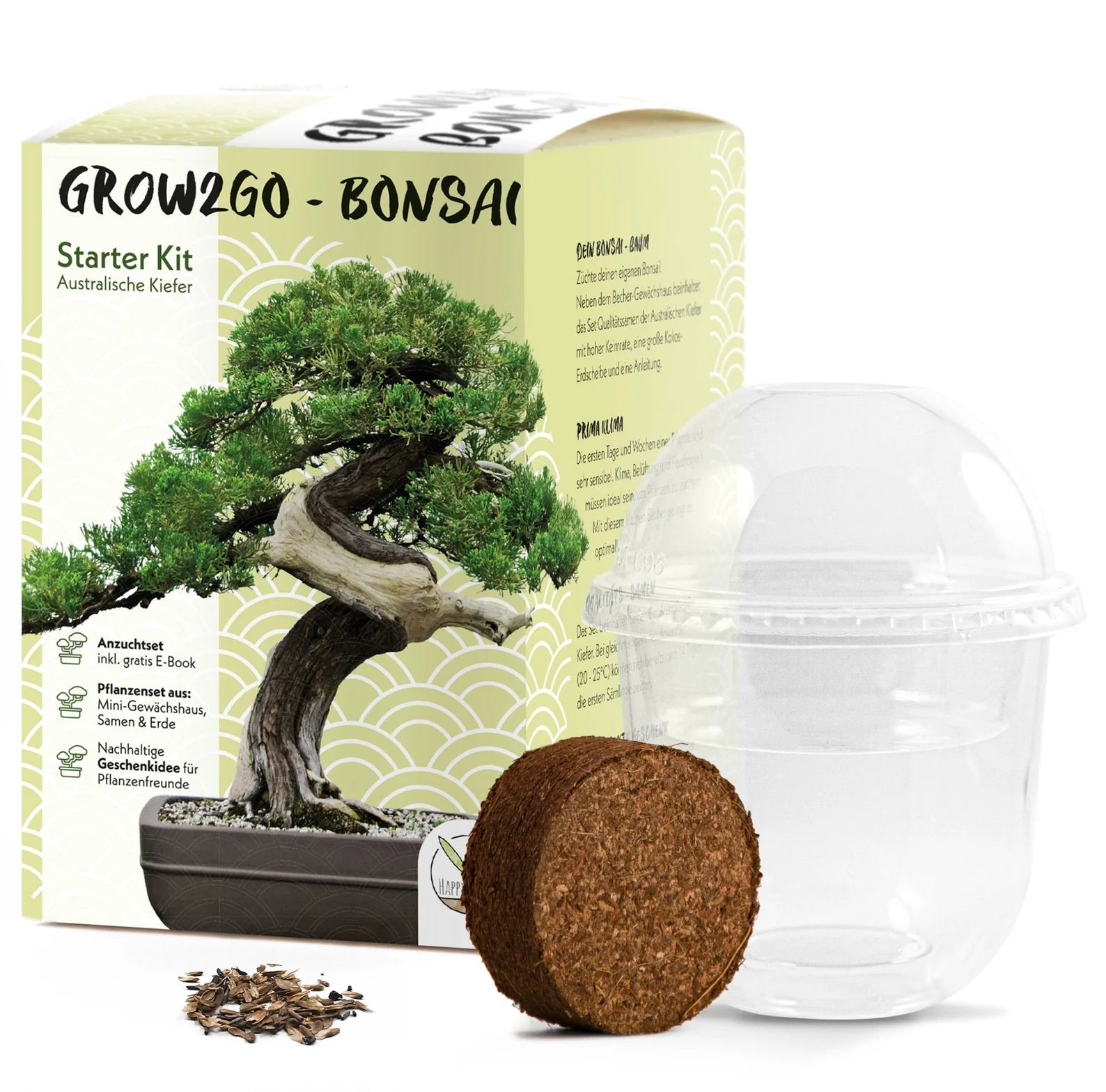Frø - Bonsai, DIY kit