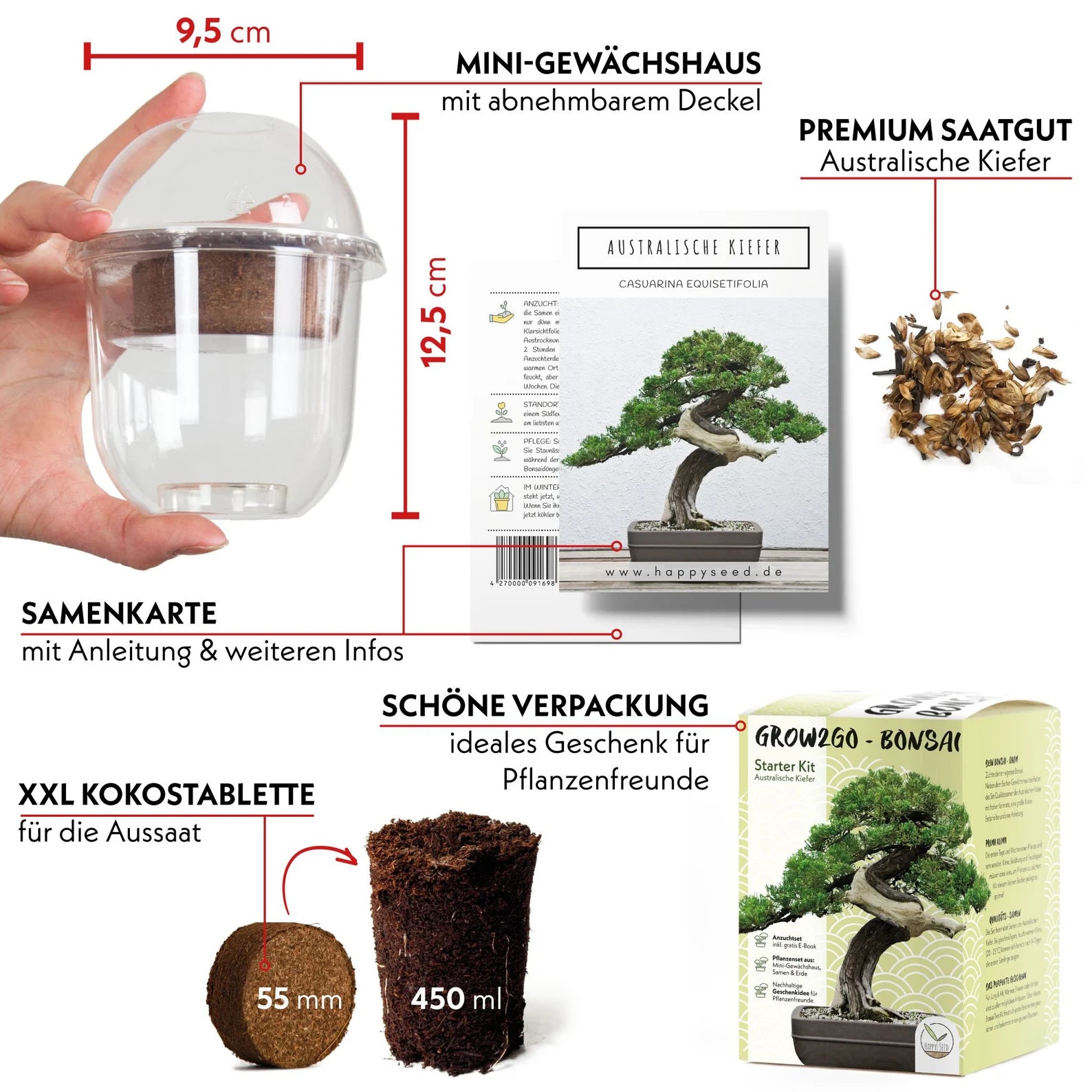 Frø - Bonsai, DIY kit