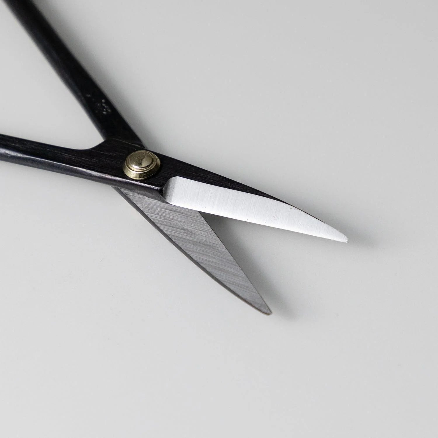 Pro Bonsai starter kit