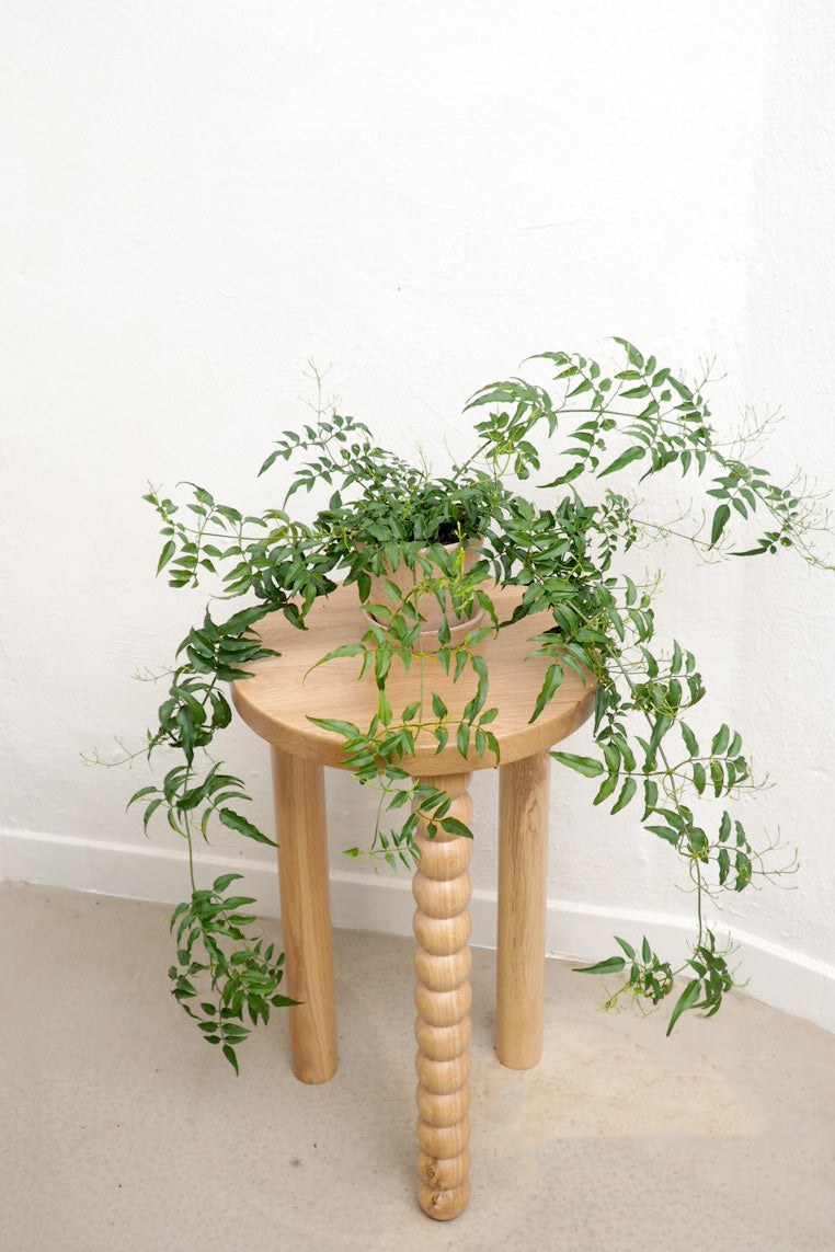 Jasmin