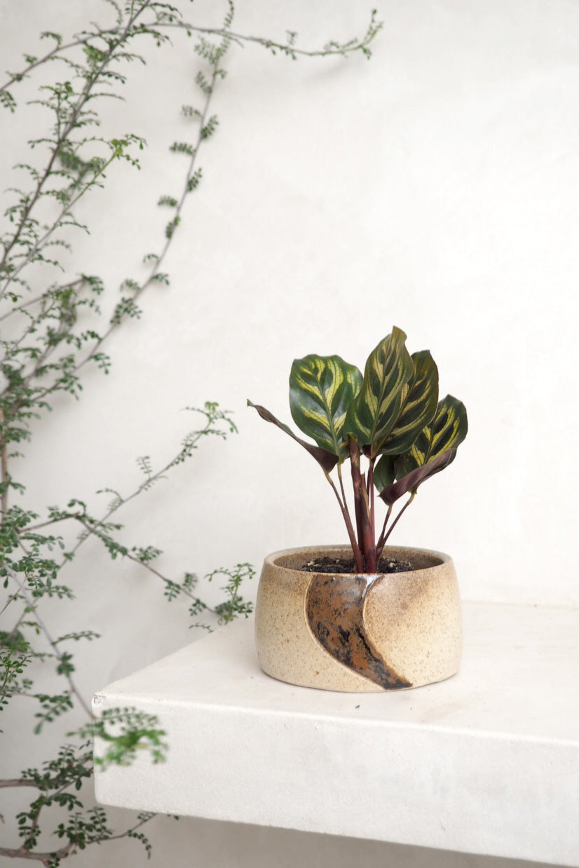 Vintage - moon krukke