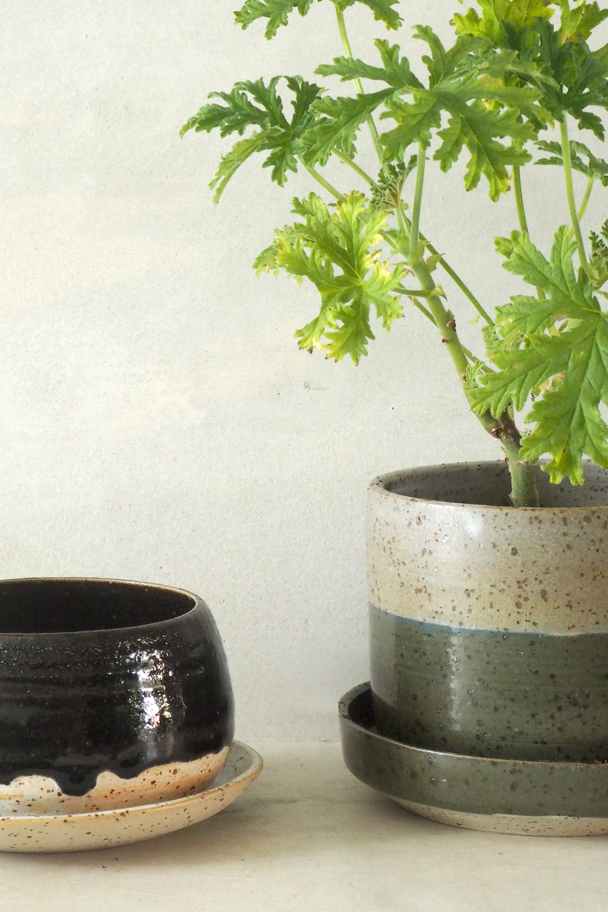 Nina Frigg medium no. 4