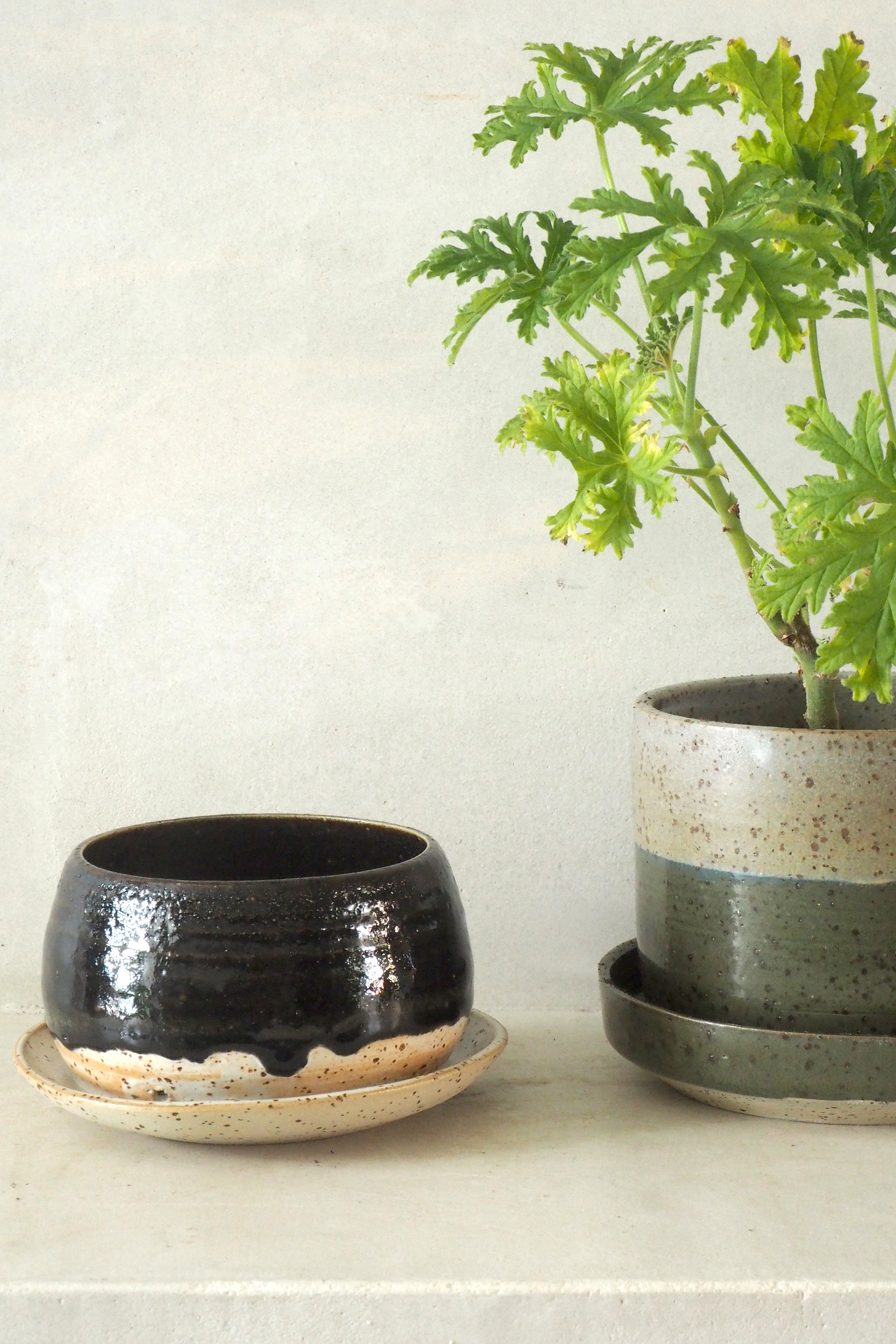 Nina Frigg medium no. 4