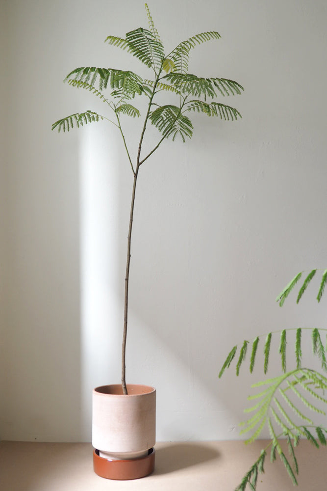 Hoff krukke, raw rosa + rust underskål