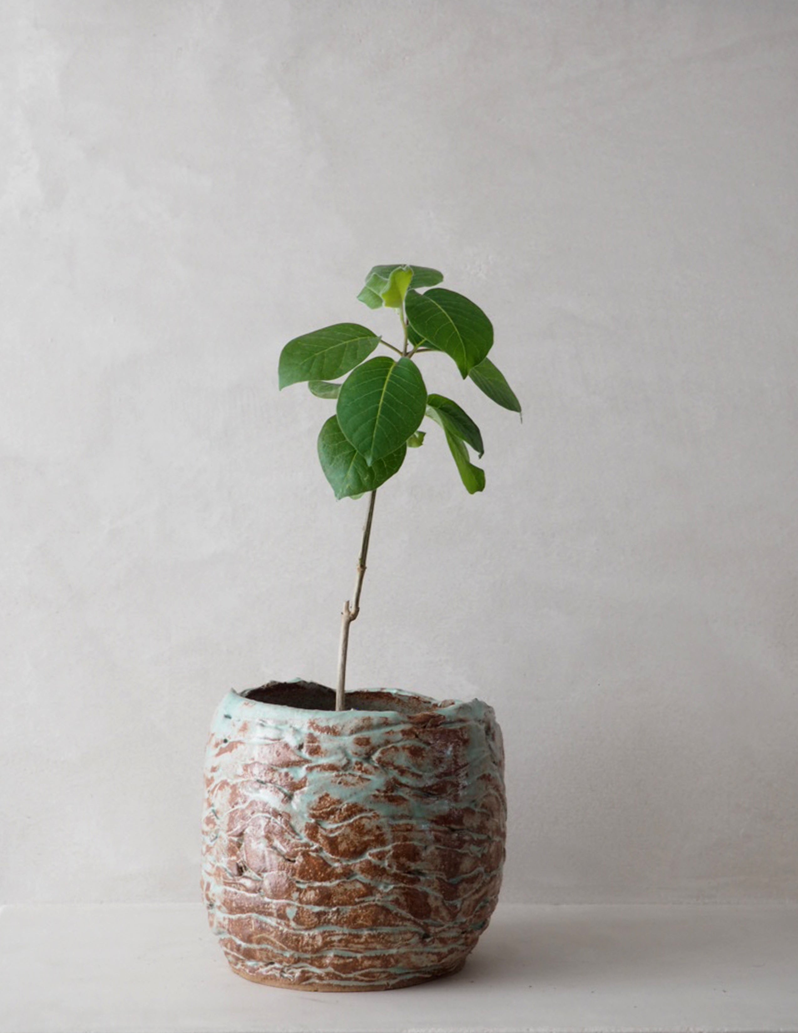 StineMei krukke - blue