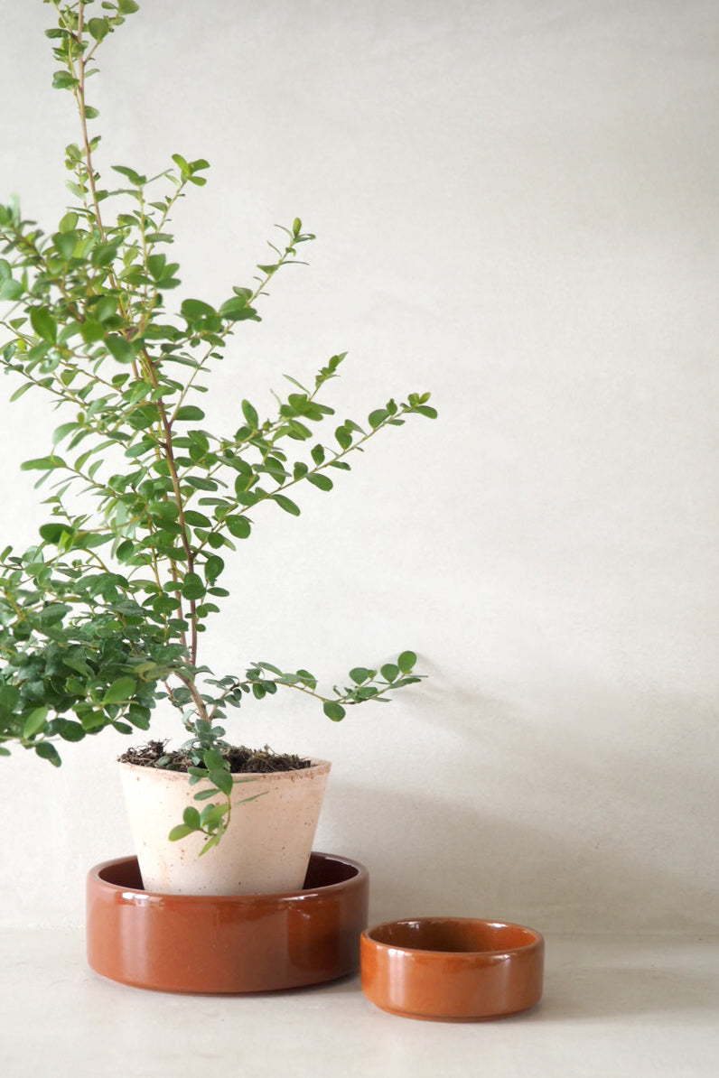 Hoff underskål, glaseret rustrød