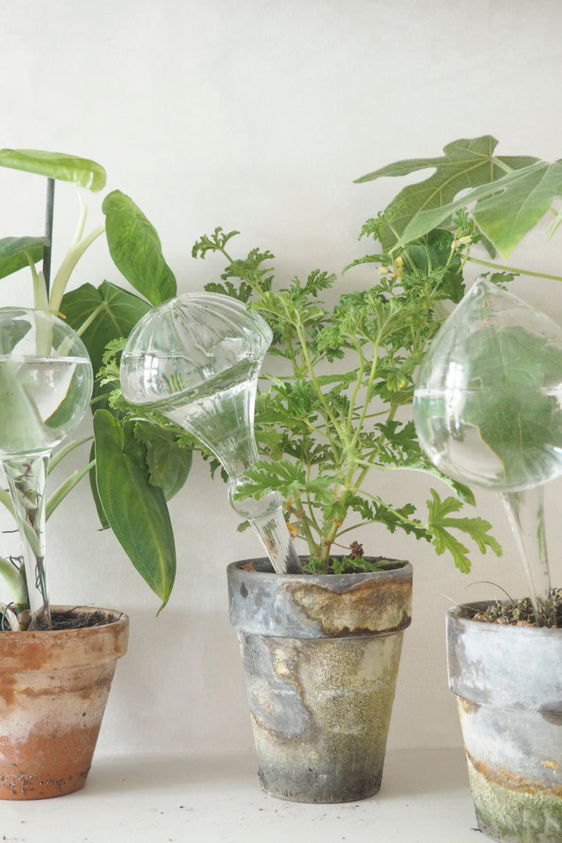 Selvvandingsglas, 4 stk