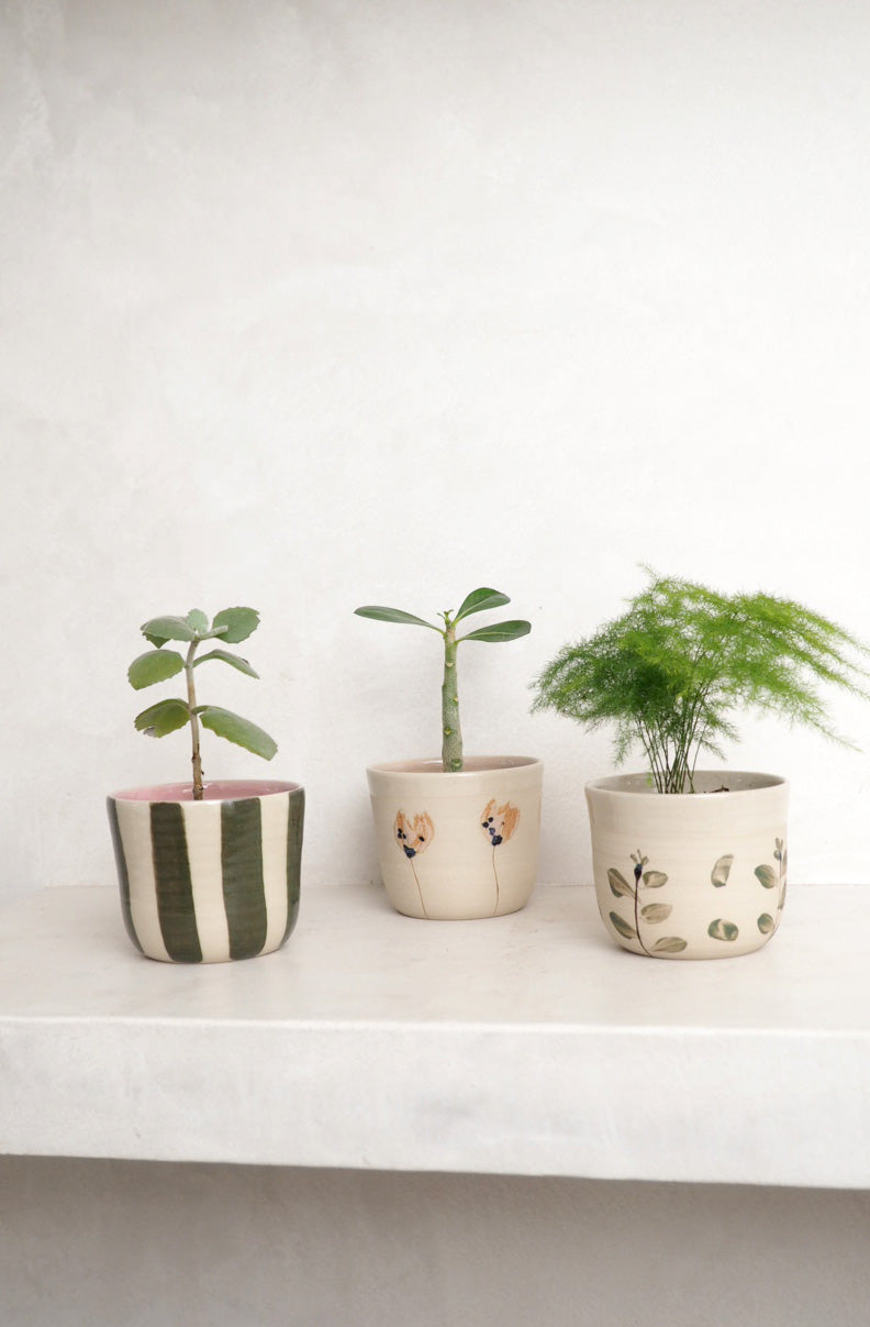 StineMei Plantekop - Stribet grøn