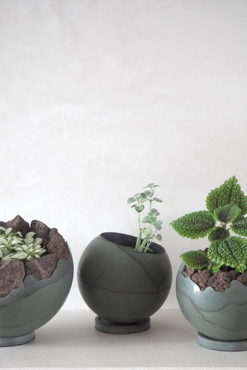 Dirty Roots - Tau Ceti