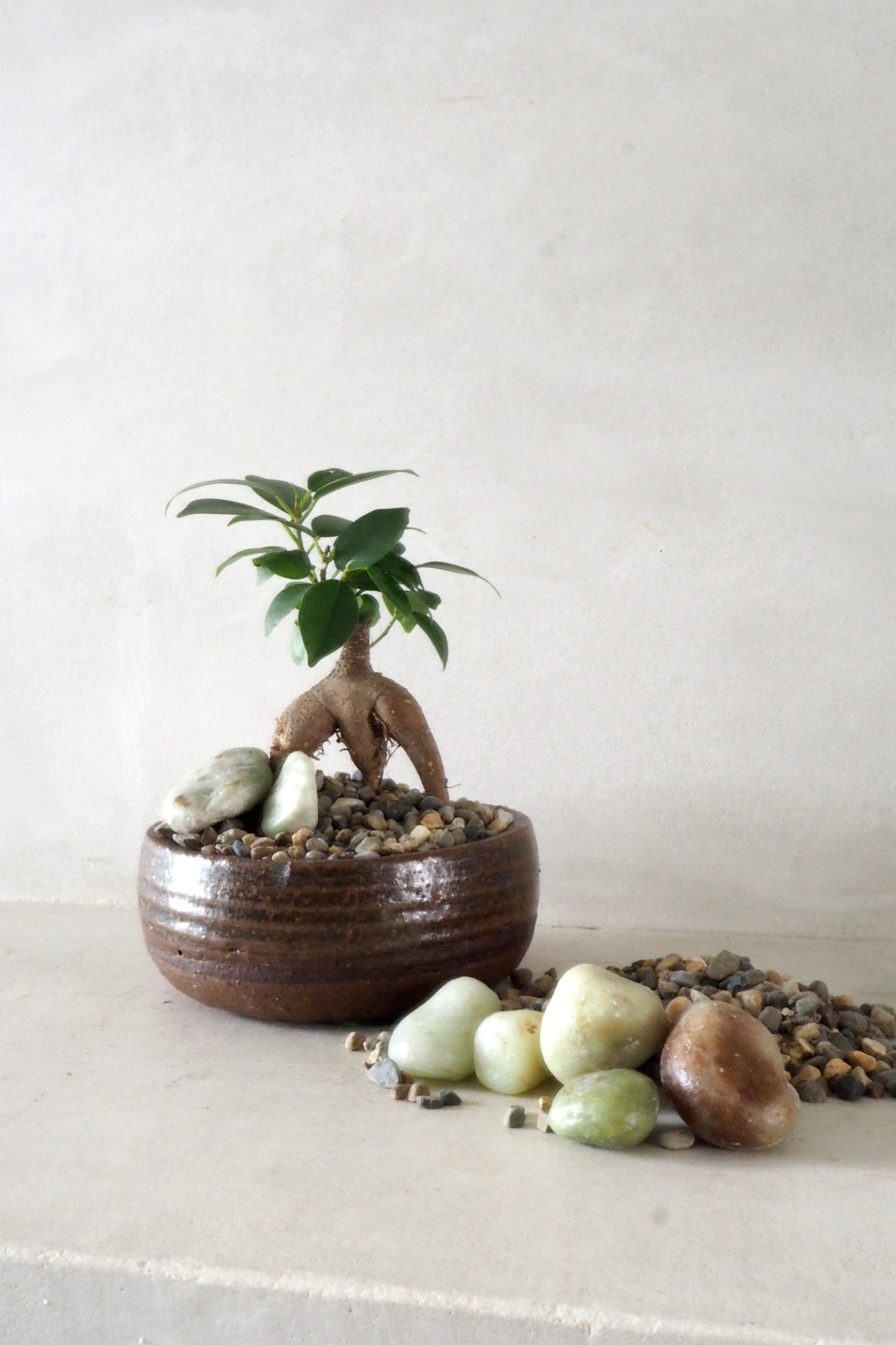 Topping sten - Natural