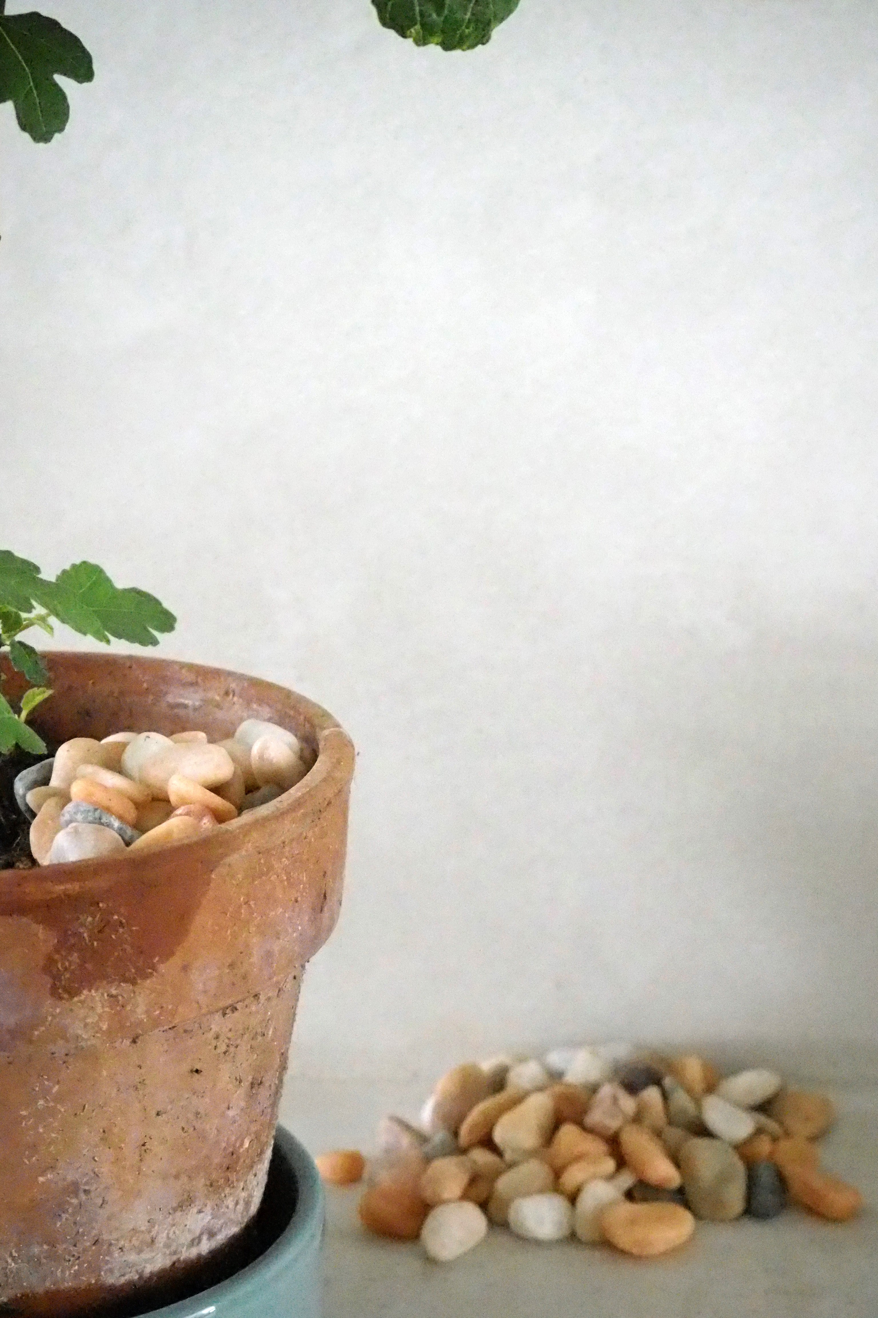 Topping sten - Peach