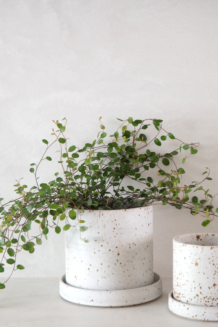 V.O krukke - hvid, small