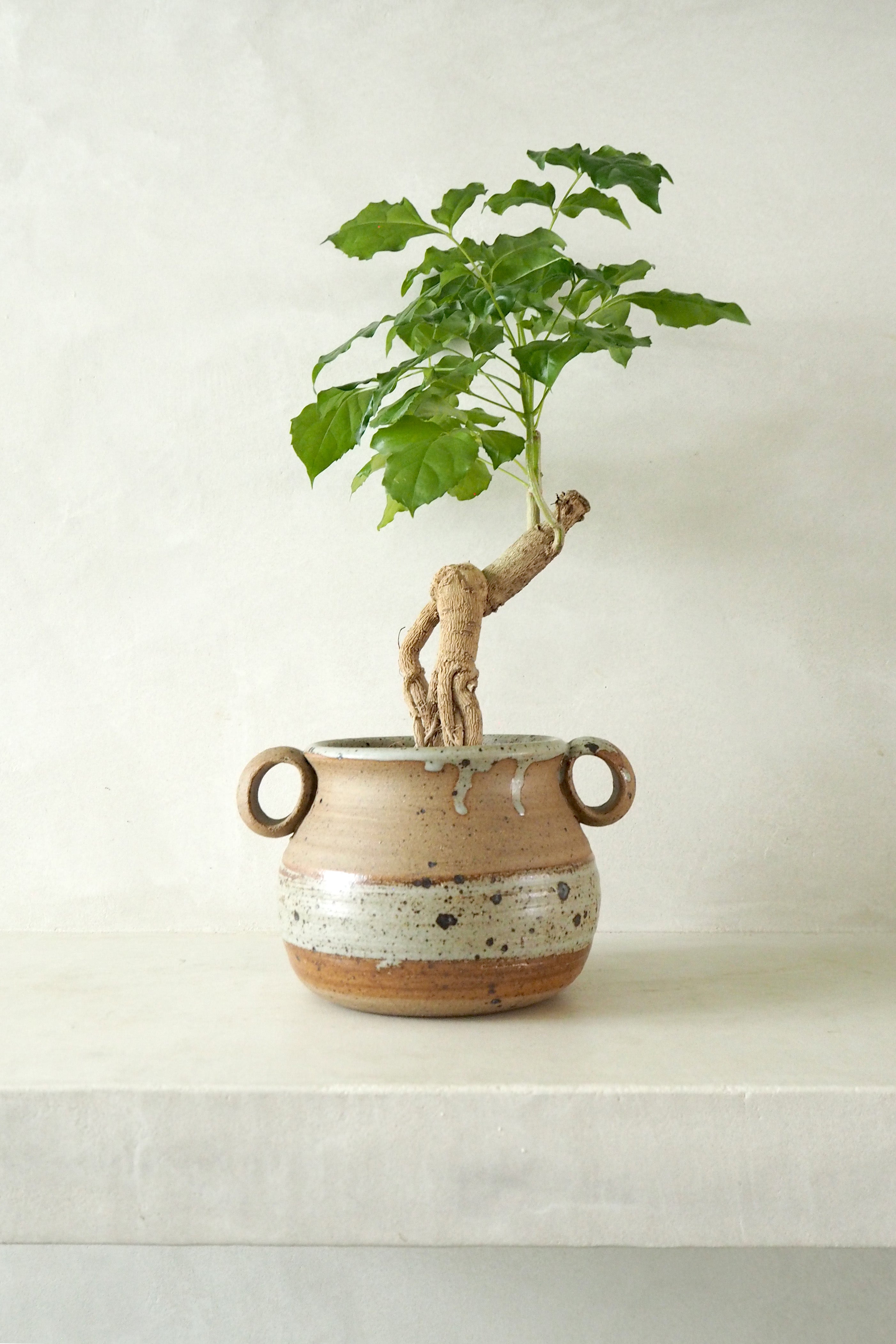 Vintage - Kru krukke