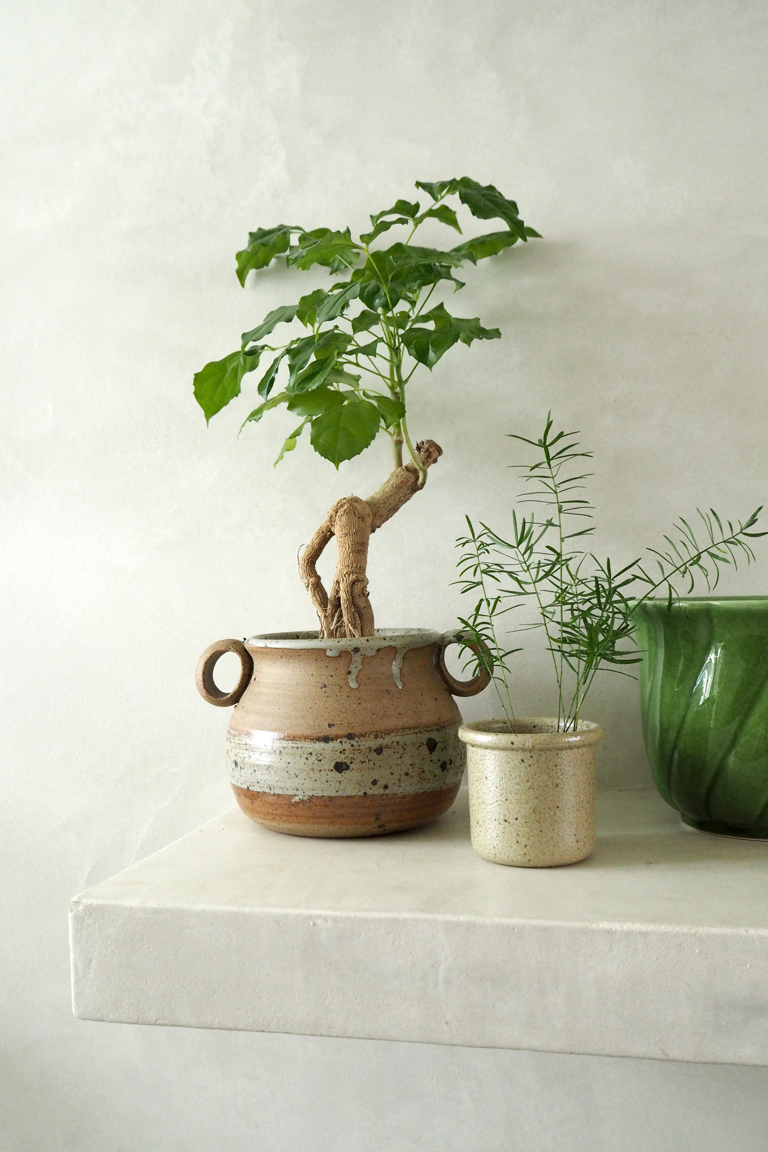 Vintage -  Emeldra krukke