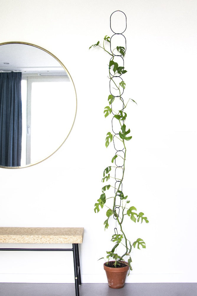 Klatrestøtte Botanopia