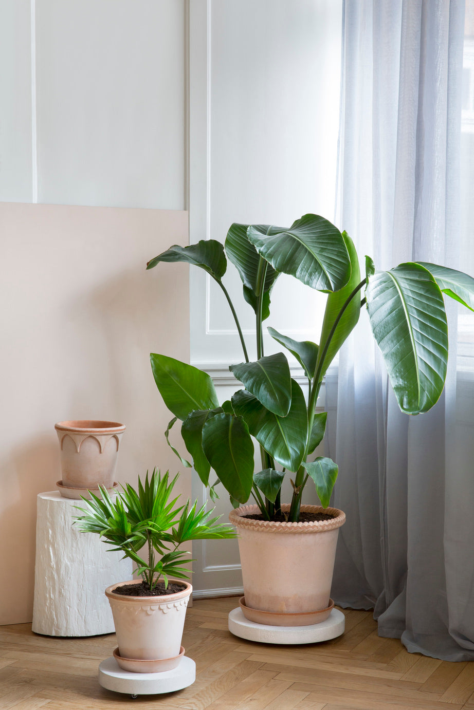 Rolling stones - rulleplade