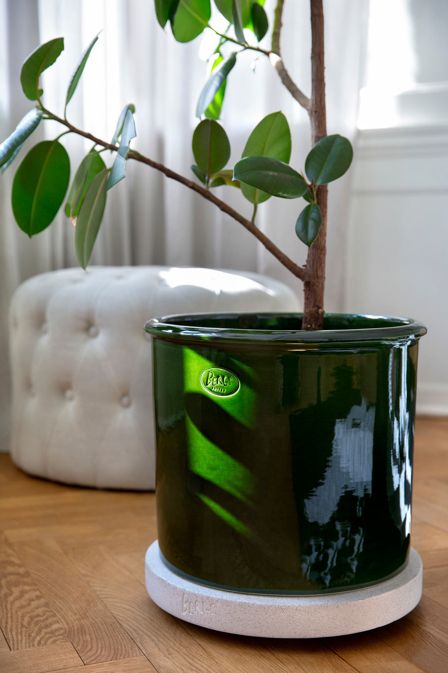 Rolling stones - rulleplade