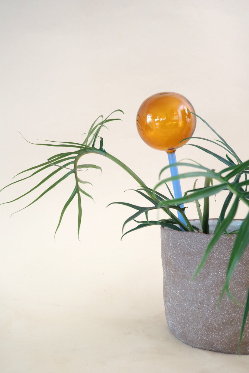 Selvvandingsglas - Amber/Blå