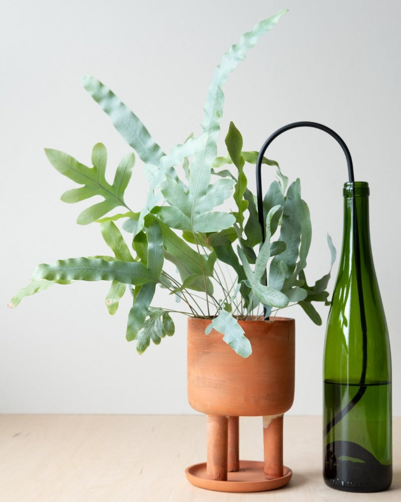 Plantstraws selvvander